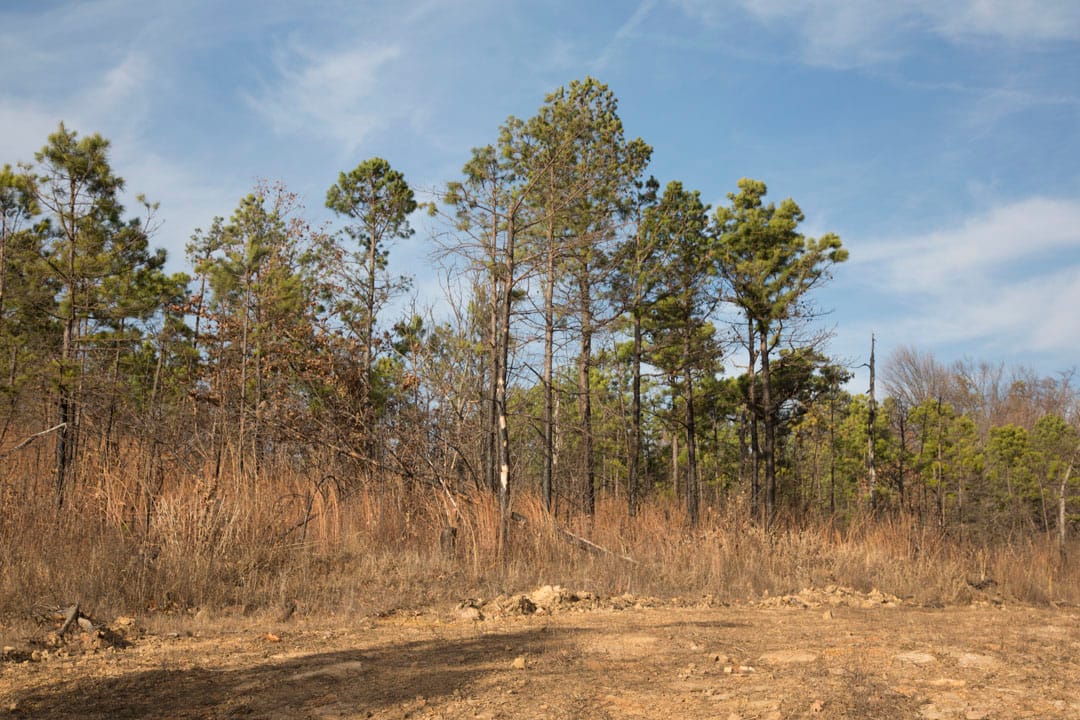 Stone Creek Phase III Tract 84 photo 17