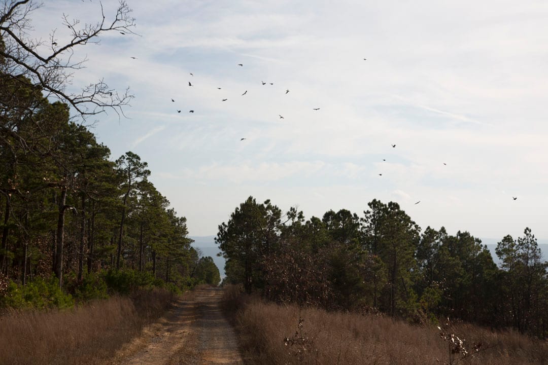Stone Creek Phase III Tract 84 photo 20