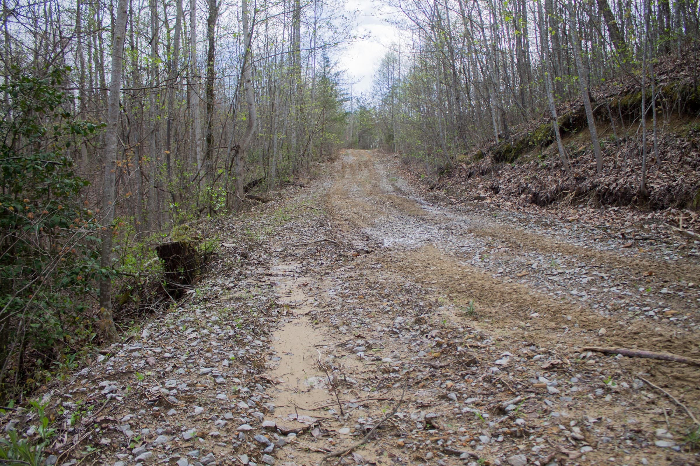 Hidden Hills Tract 34 photo 2