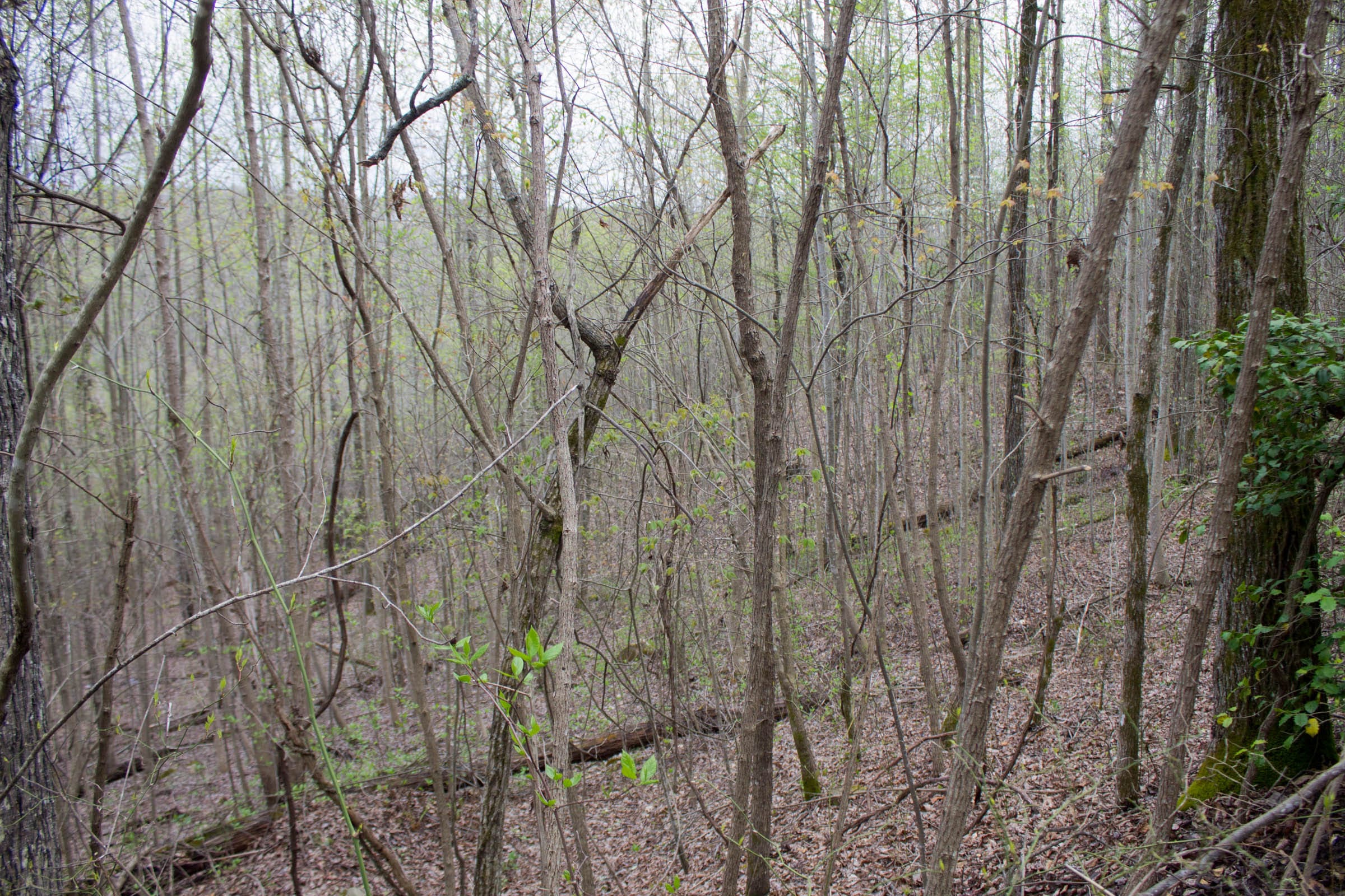 Hidden Hills Tract 34 photo 5