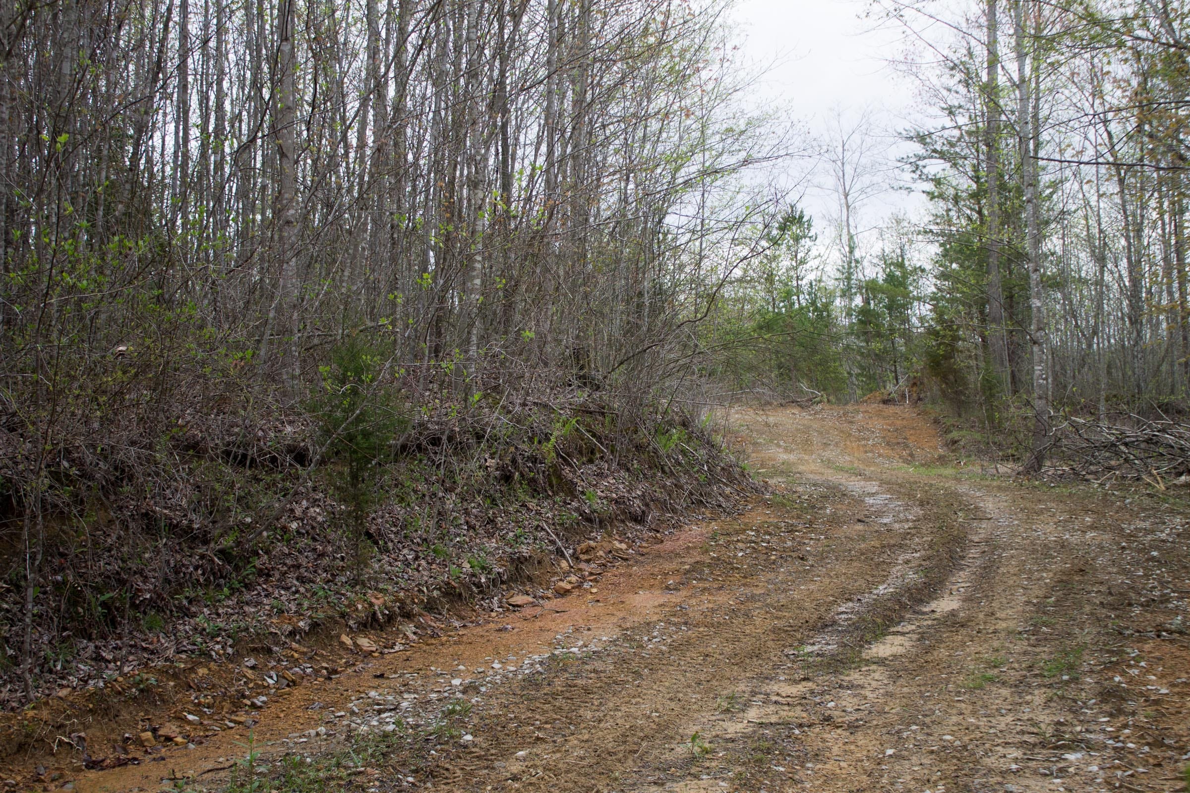 Hidden Hills Tract 34 photo 7