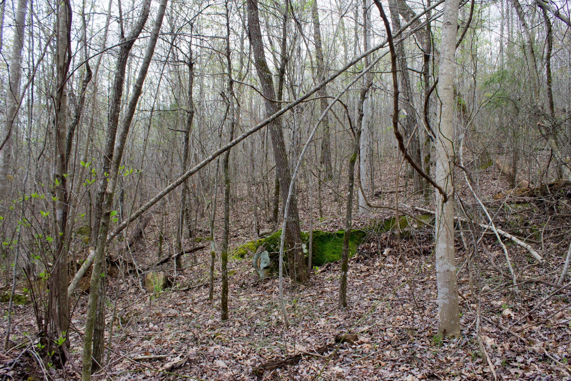 Hidden Hills Tract 34 photo 8