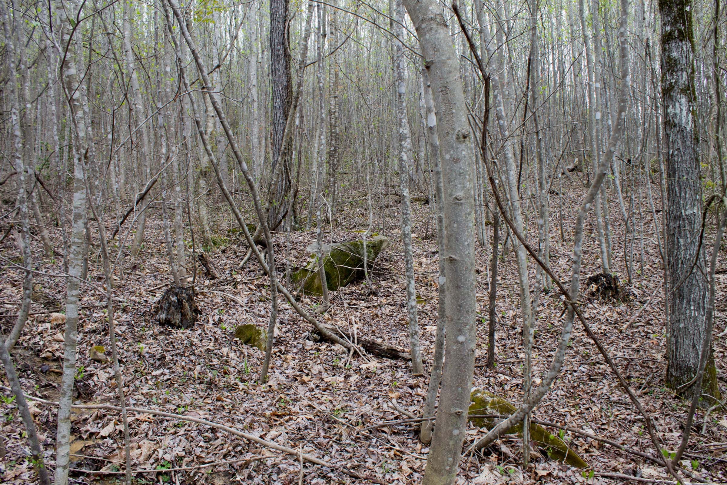 Hidden Hills Tract 34 photo 9
