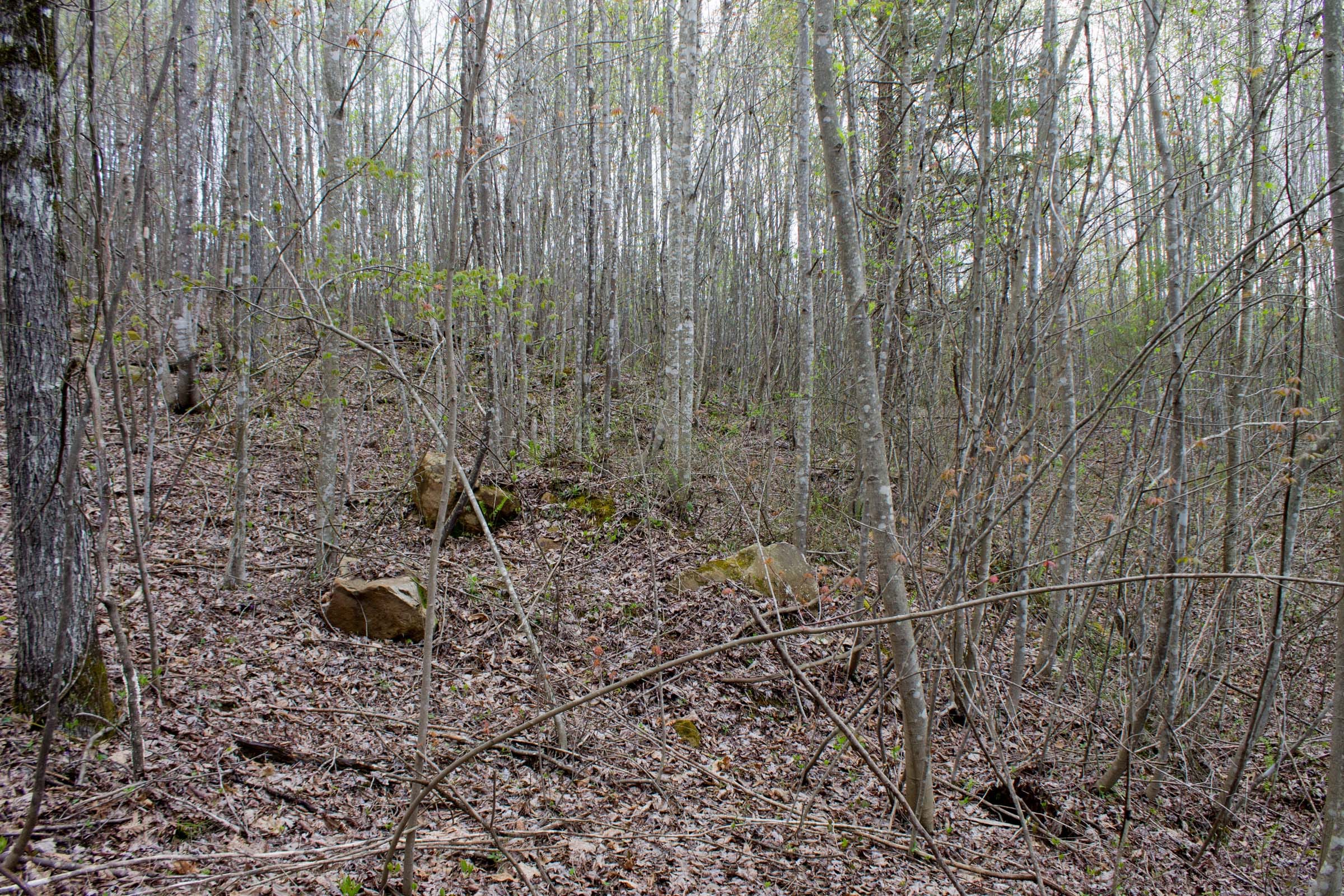 Hidden Hills Tract 34 photo 10