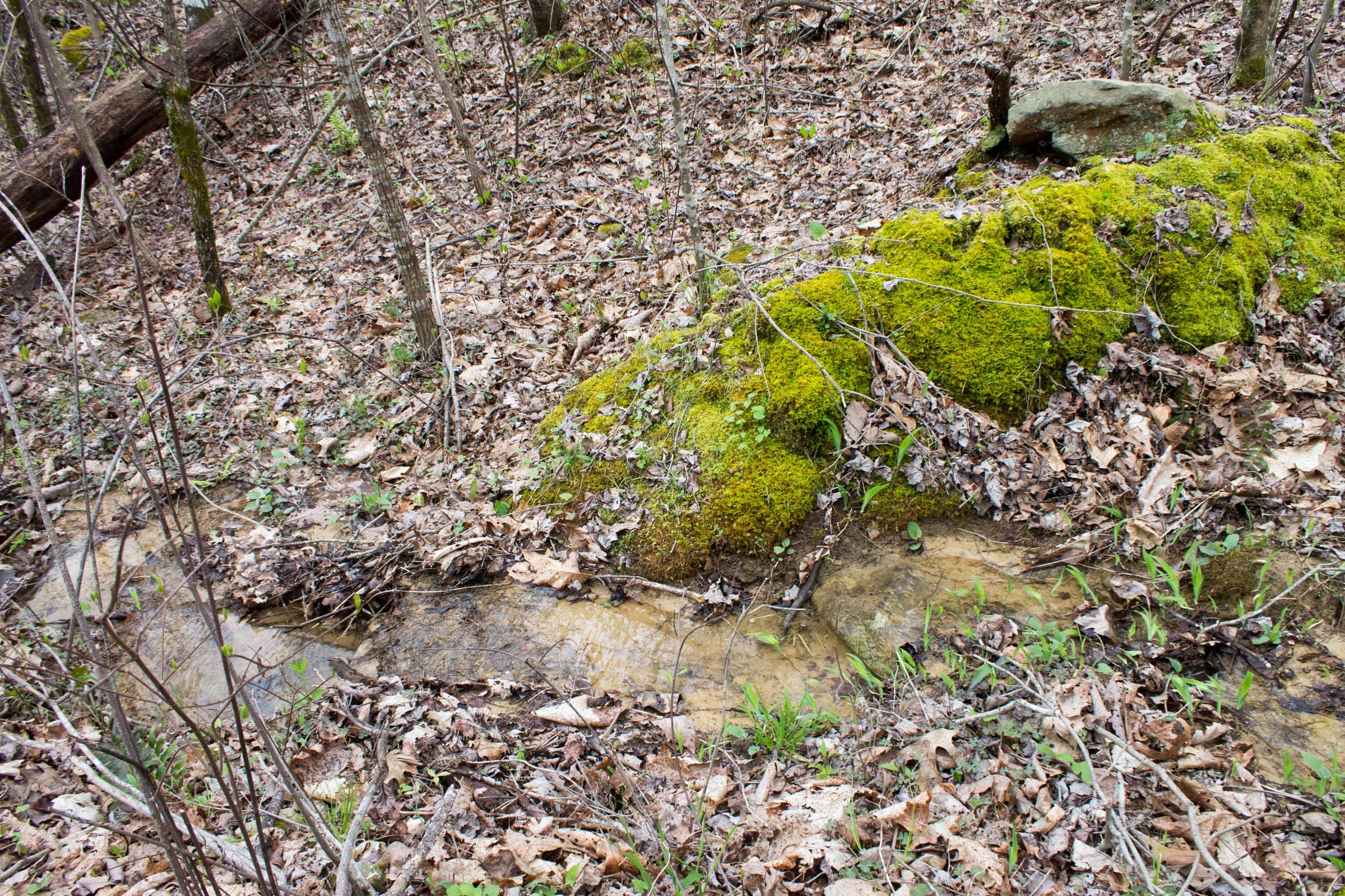 Hidden Hills Tract 34 photo 11