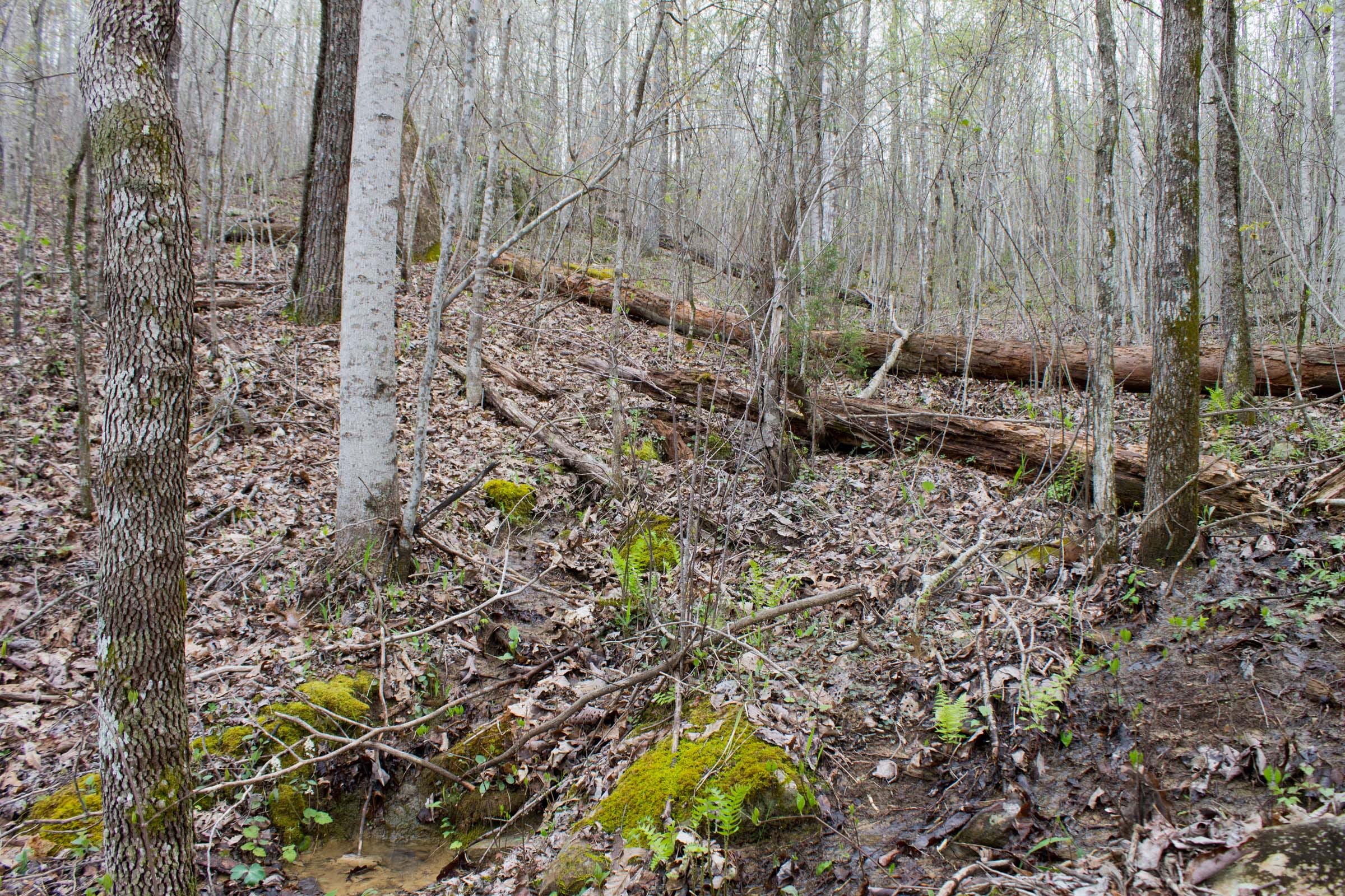 Hidden Hills Tract 34 photo 12