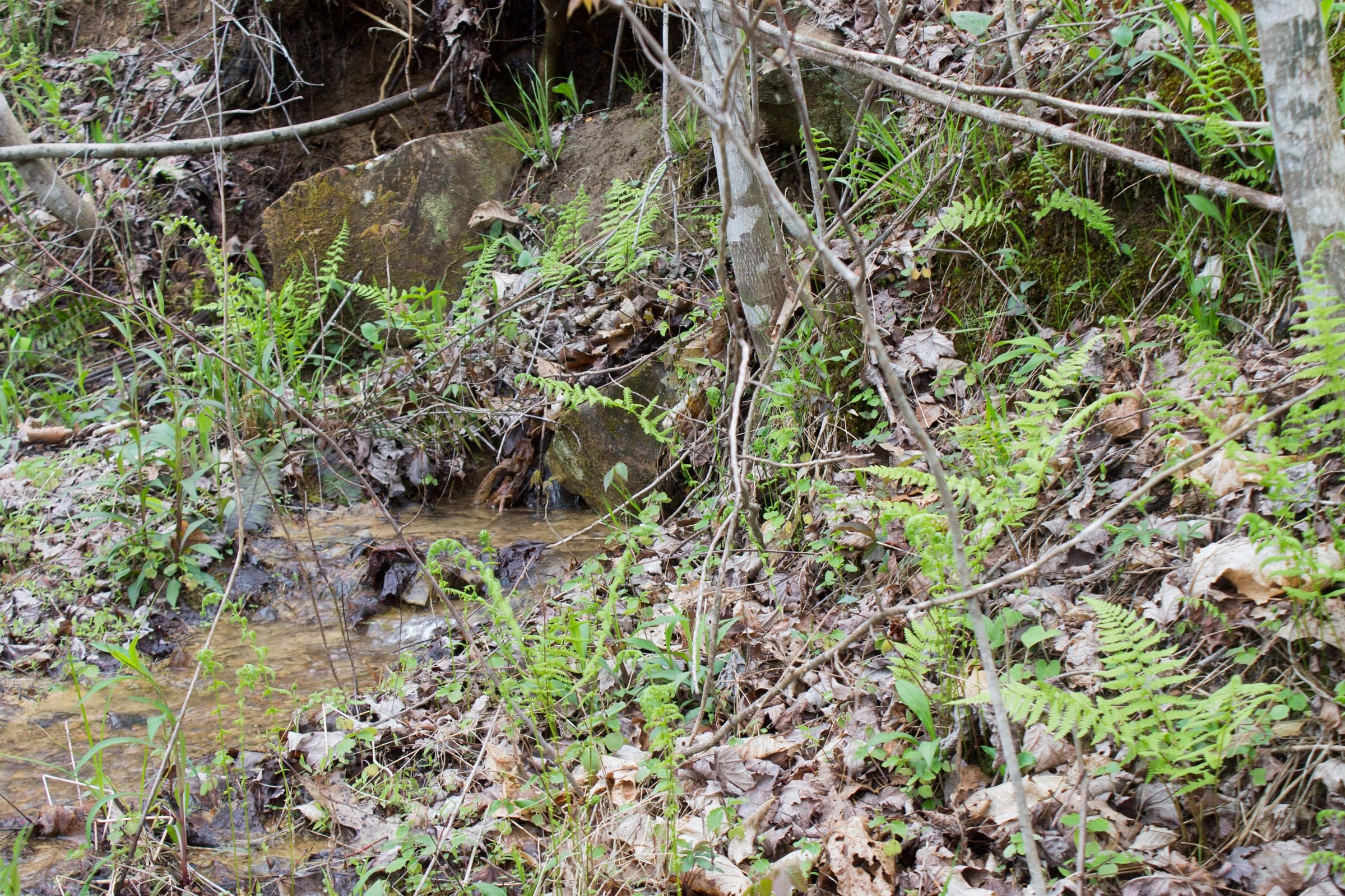 Hidden Hills Tract 34 photo 13