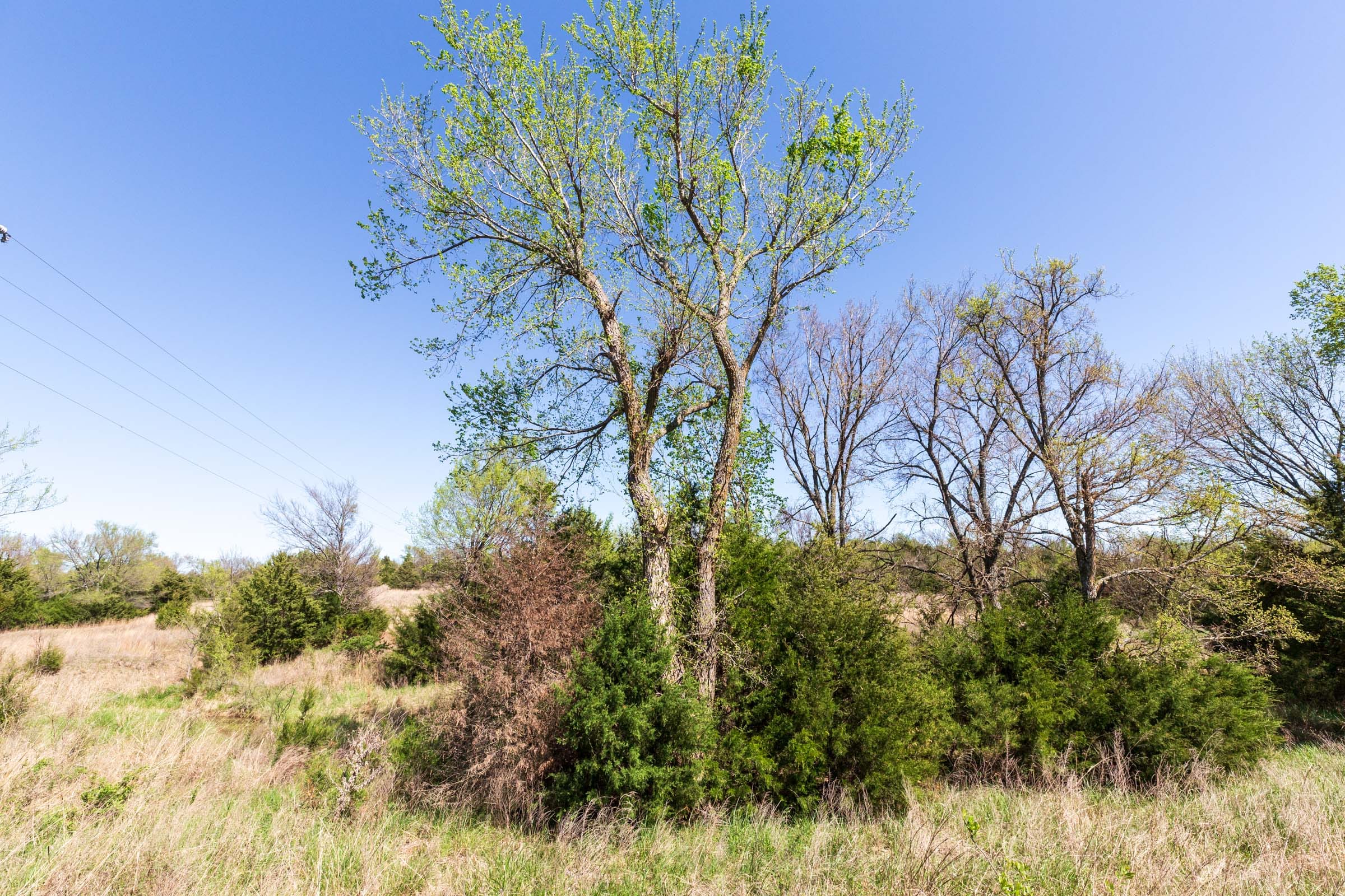 Prairie Grove Tract 7 photo 3