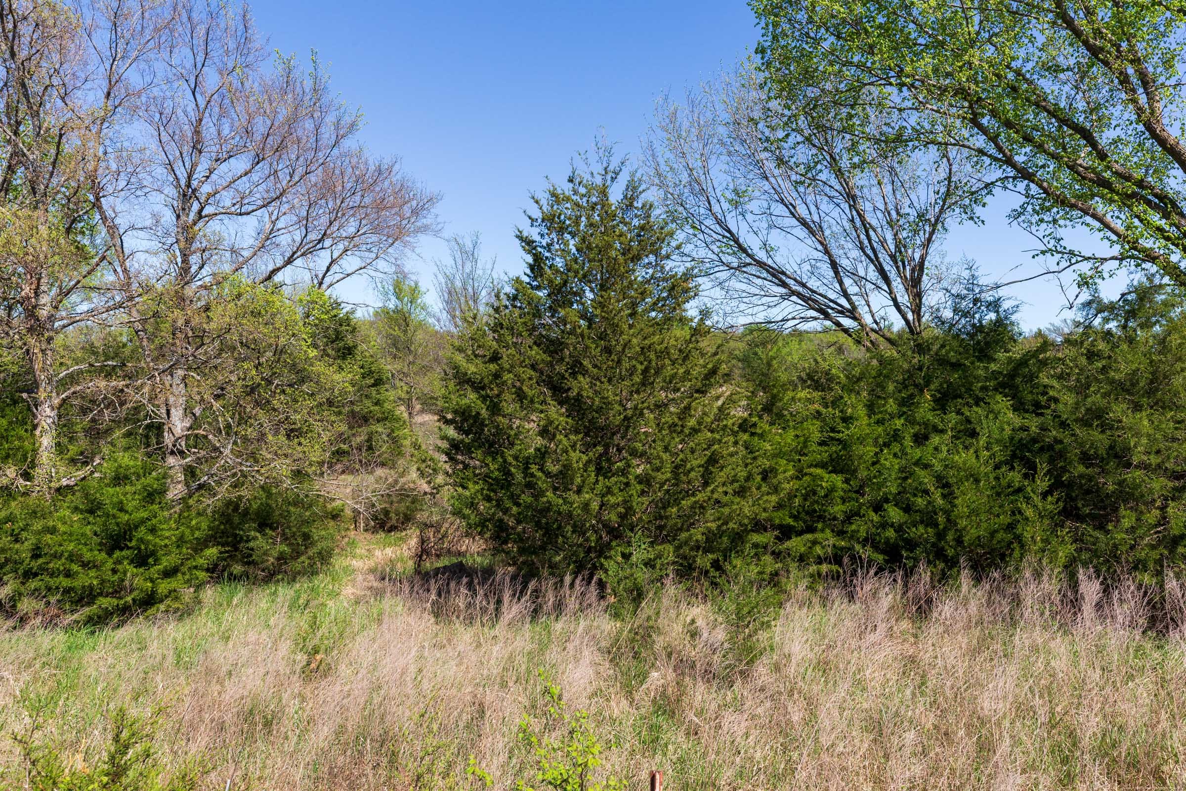 Prairie Grove Tract 7 photo 4