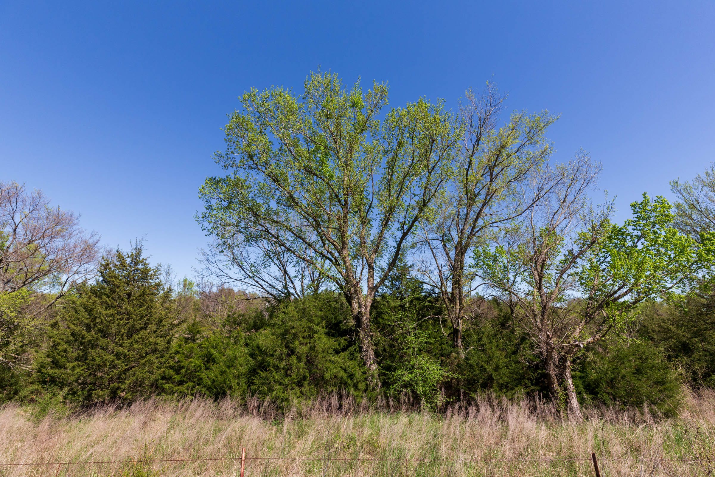 Prairie Grove Tract 7 photo 8