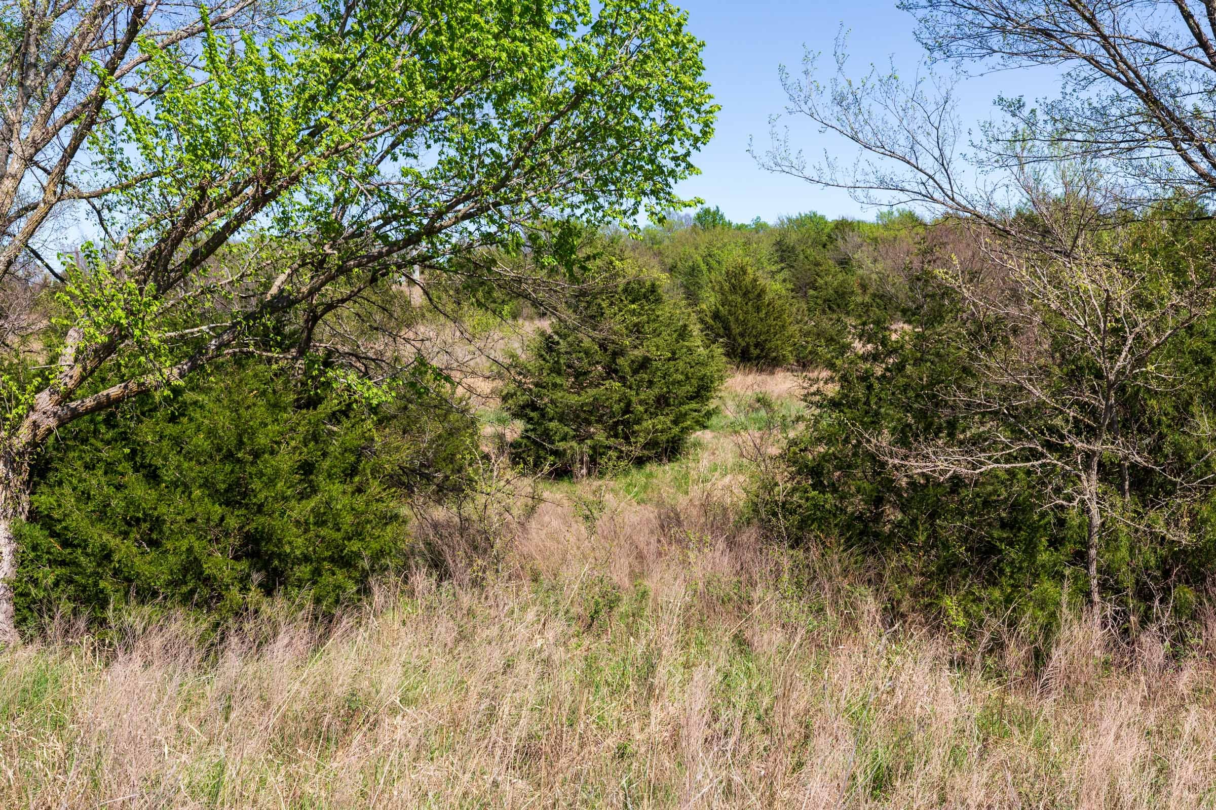 Prairie Grove Tract 7 photo 7