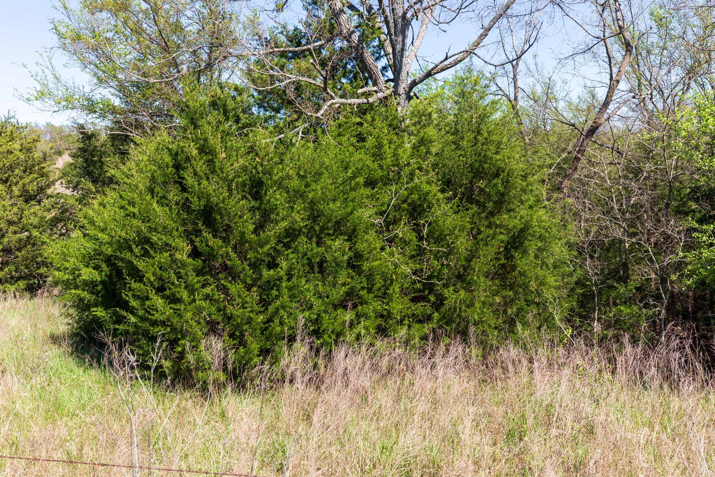 Prairie Grove Tract 7 photo 11