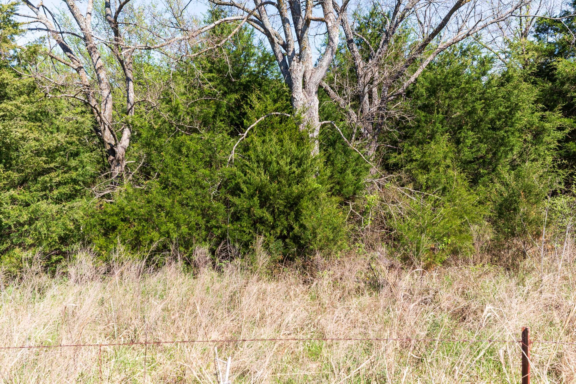 Prairie Grove Tract 7 photo 13
