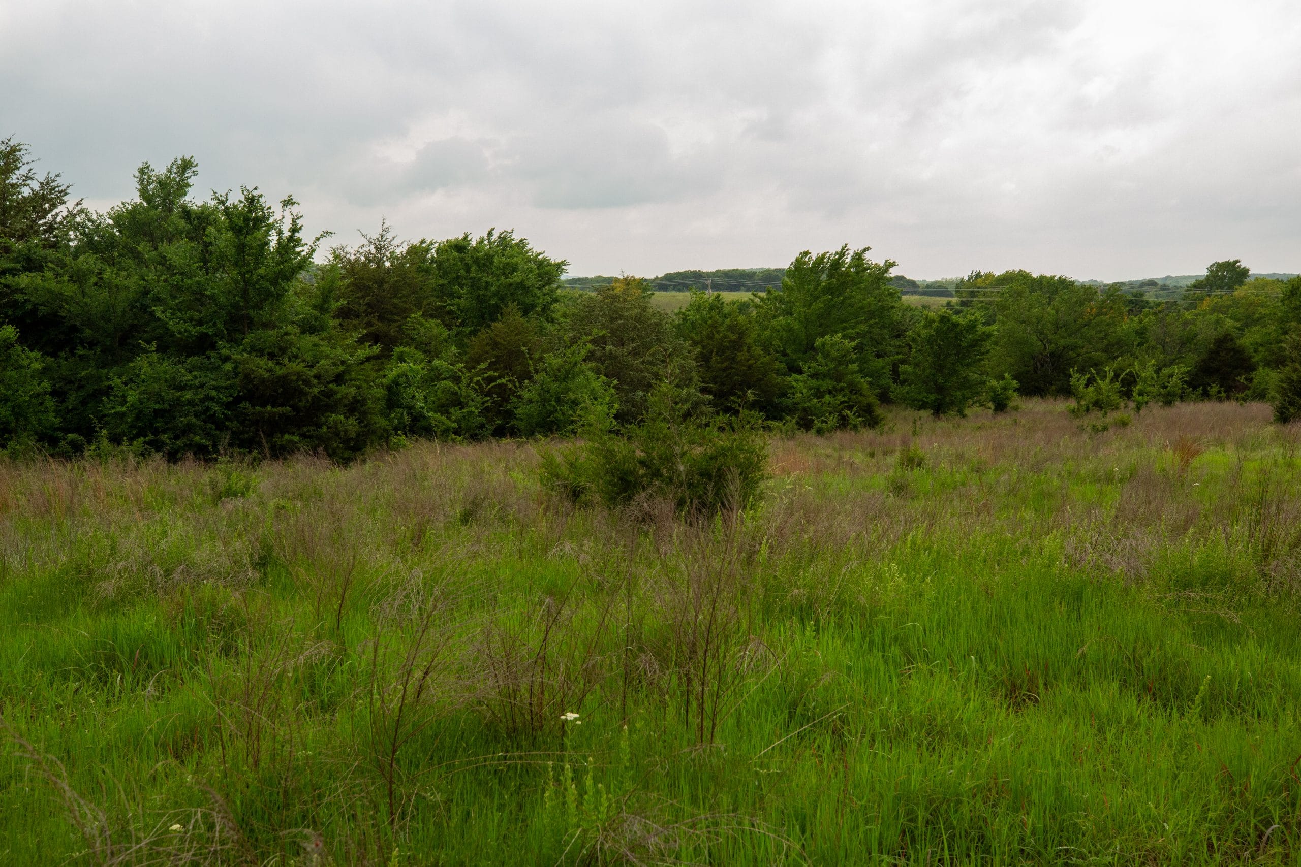 Prairie Grove Tract 7 photo 2