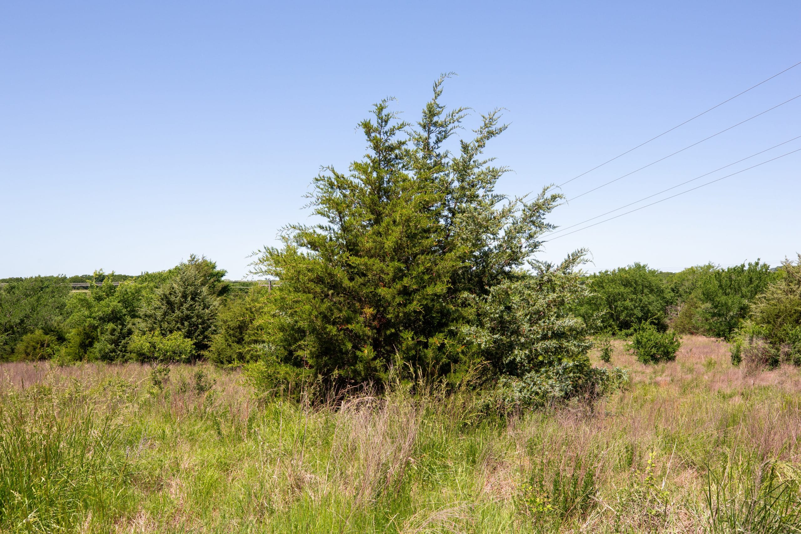 Prairie Grove Tract 7 photo 12