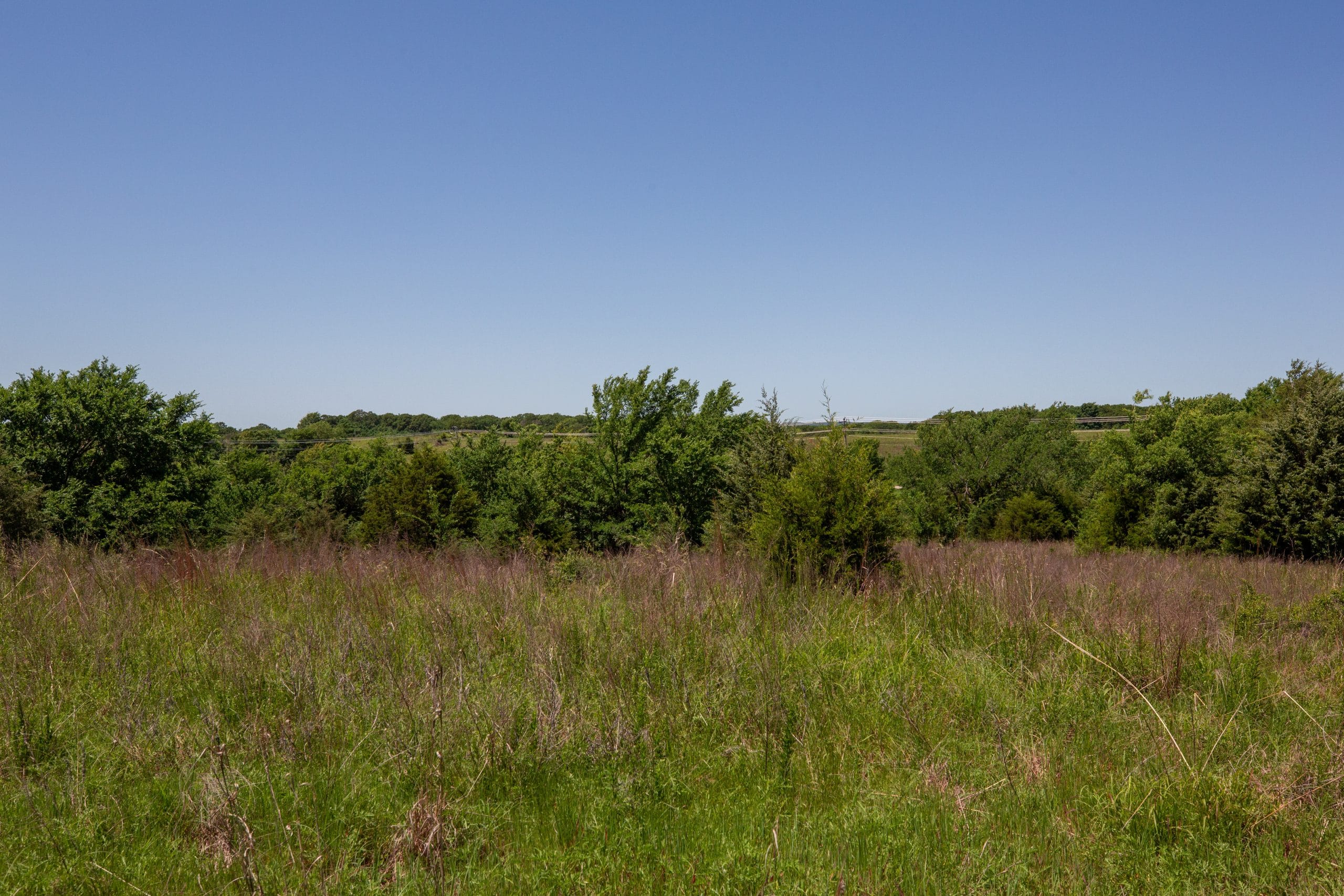 Prairie Grove Tract 7 photo 5