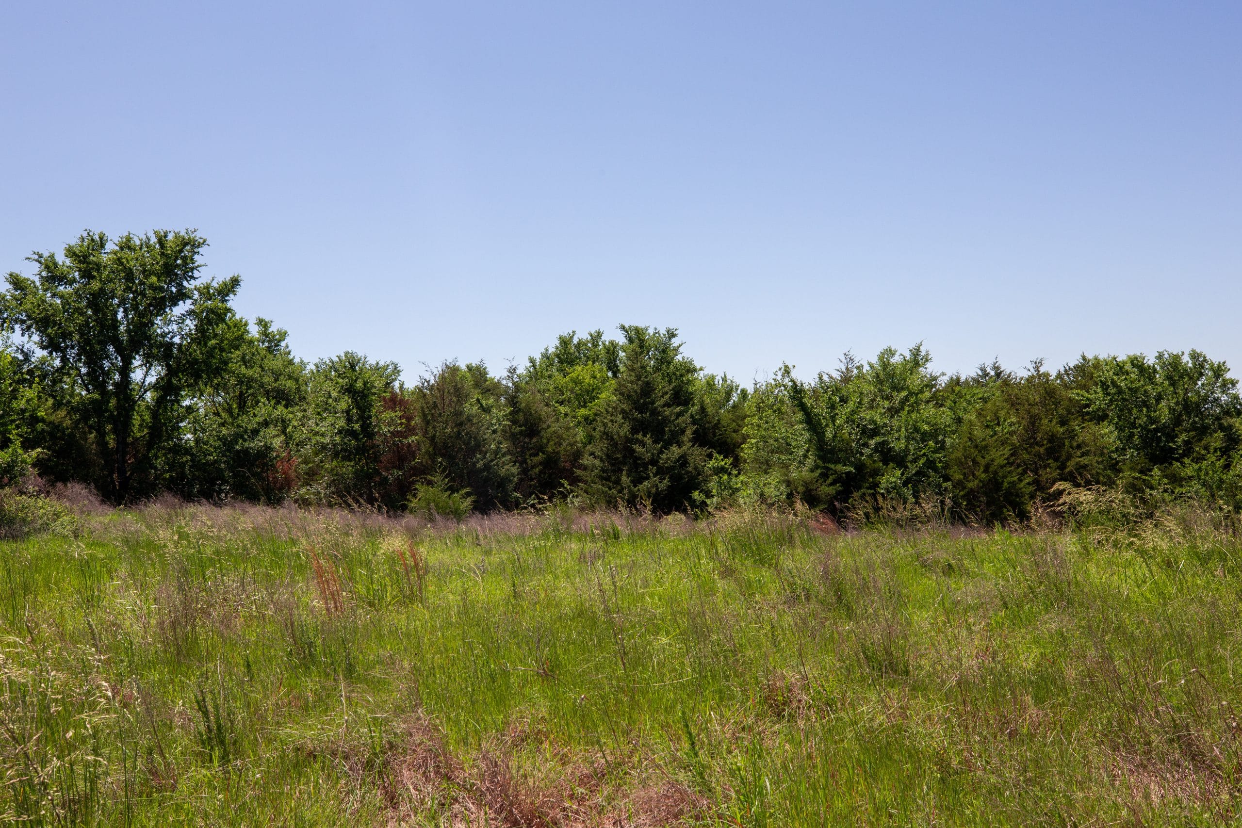 Prairie Grove Tract 7 photo 15