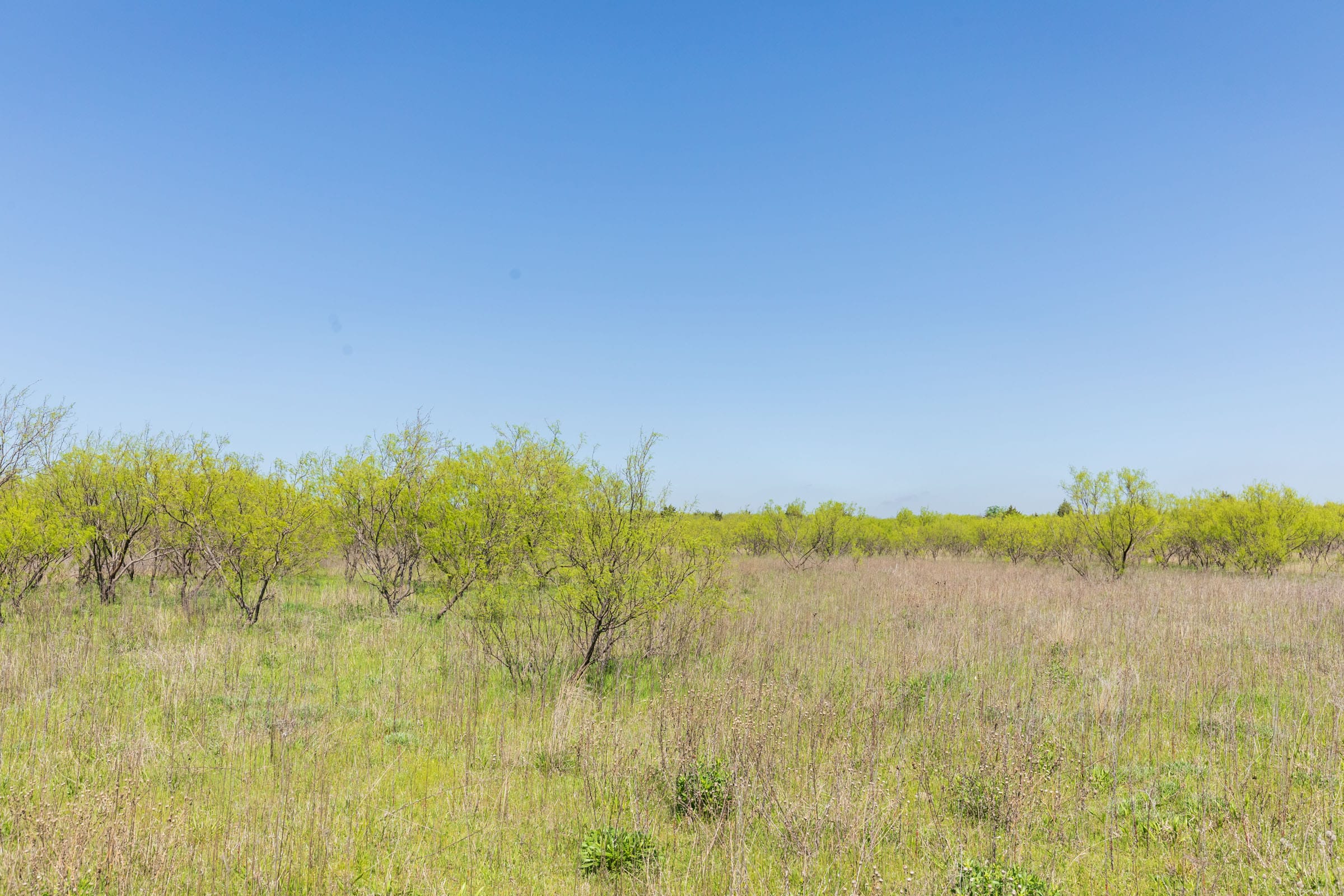 Hackberry Fields Tract 23 photo 15