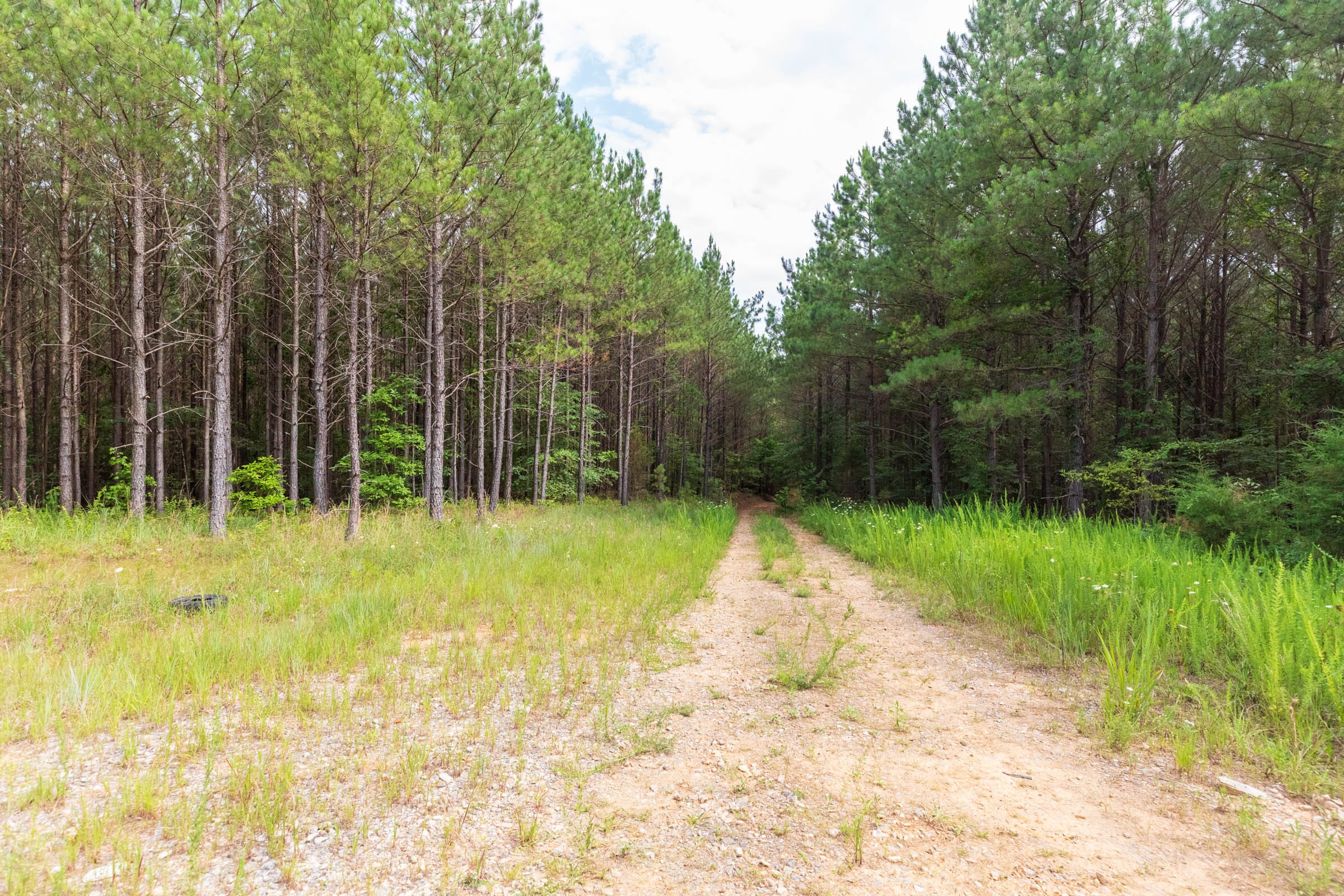Whiskey Ridge Tract 15 photo 13