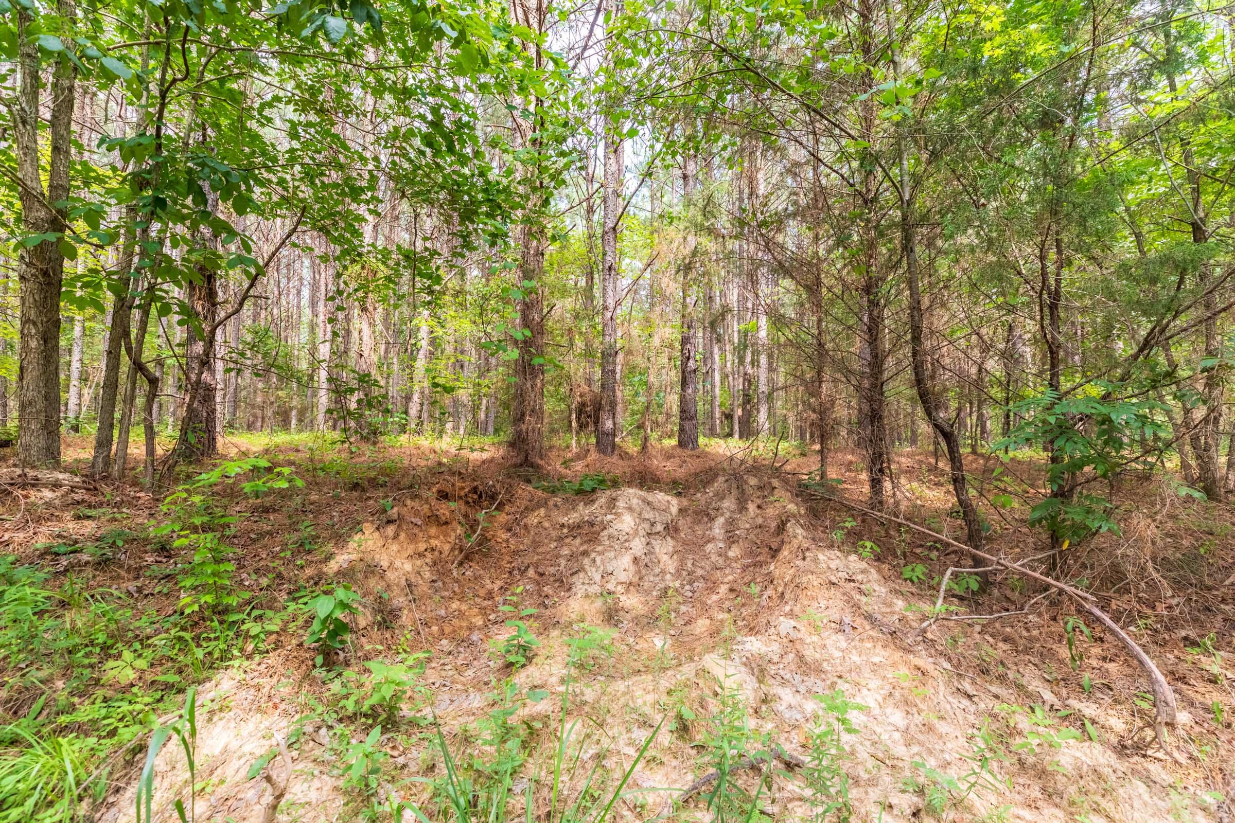 Whiskey Ridge Tract 15 photo 17