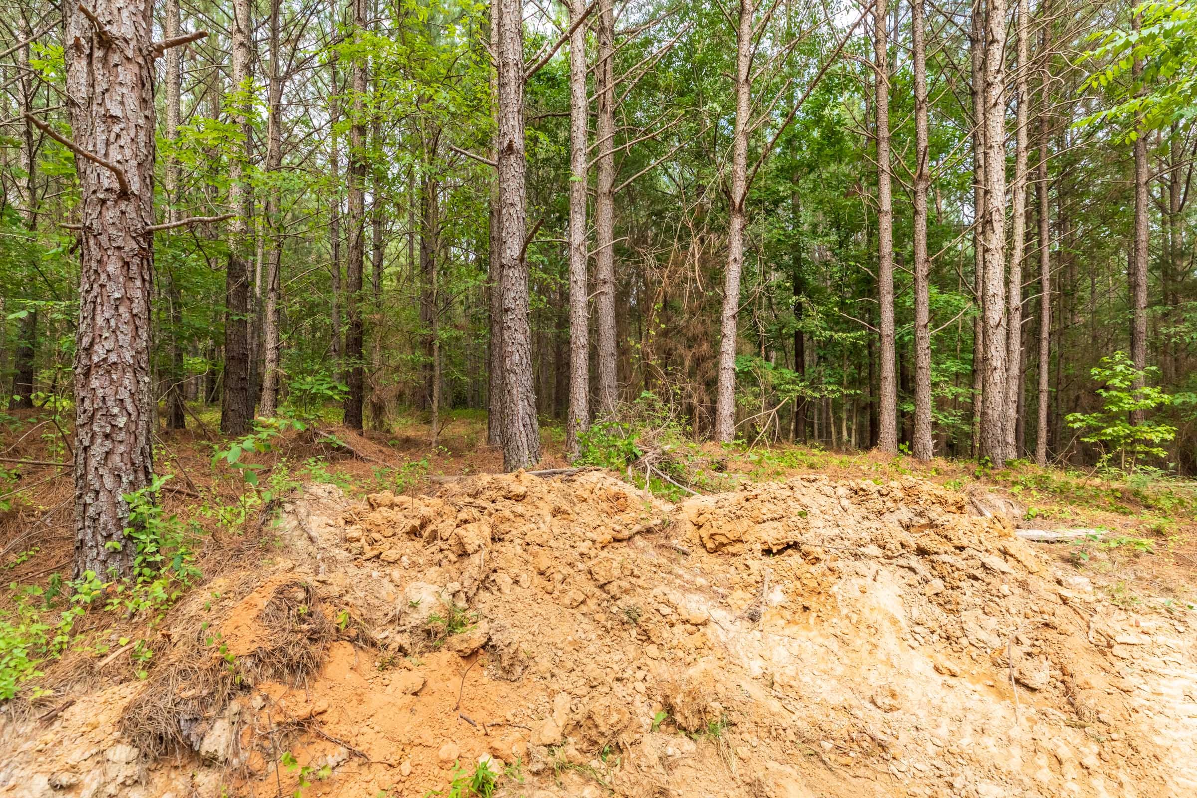 Whiskey Ridge Tract 15 photo 18
