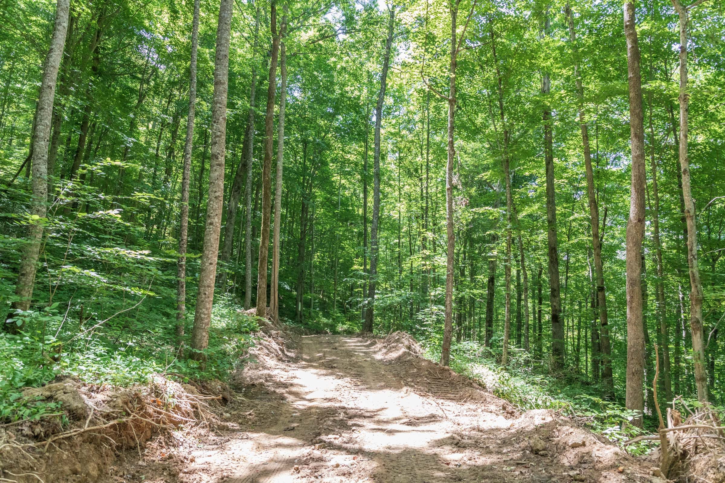 River’s Edge Tract 21 photo 1