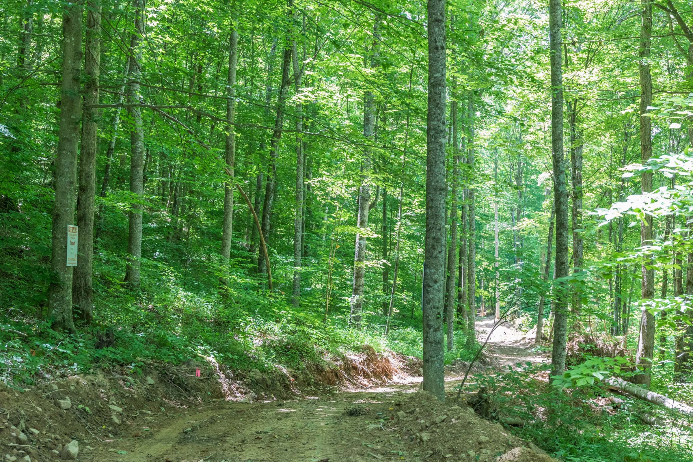 River’s Edge Tract 21 photo 5