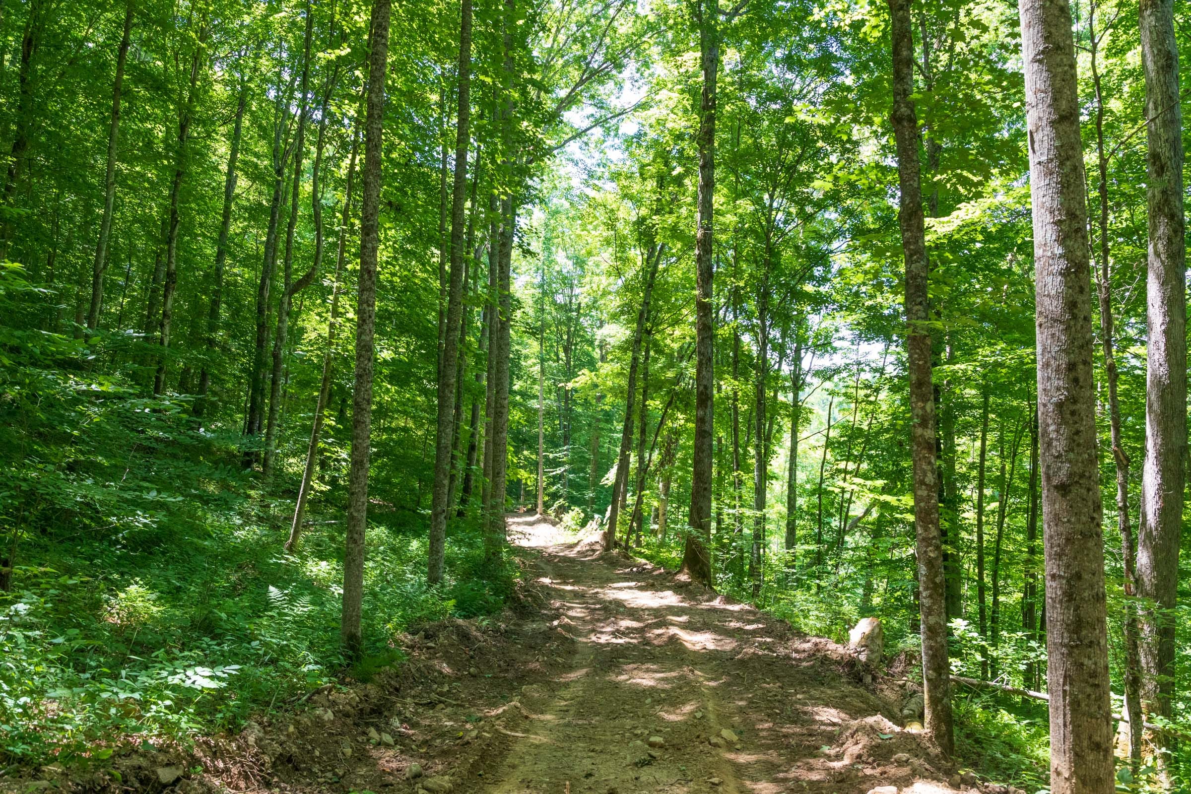 River’s Edge Tract 21 photo 6