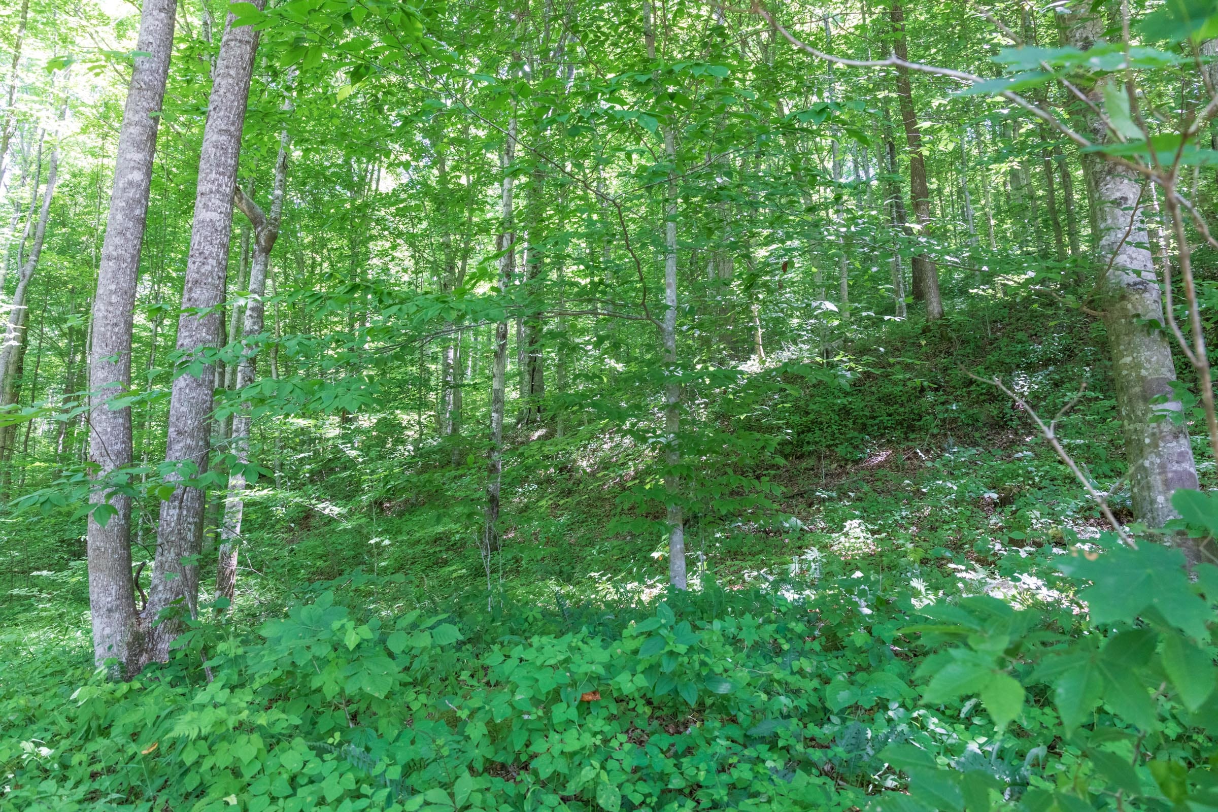 River’s Edge Tract 21 photo 13