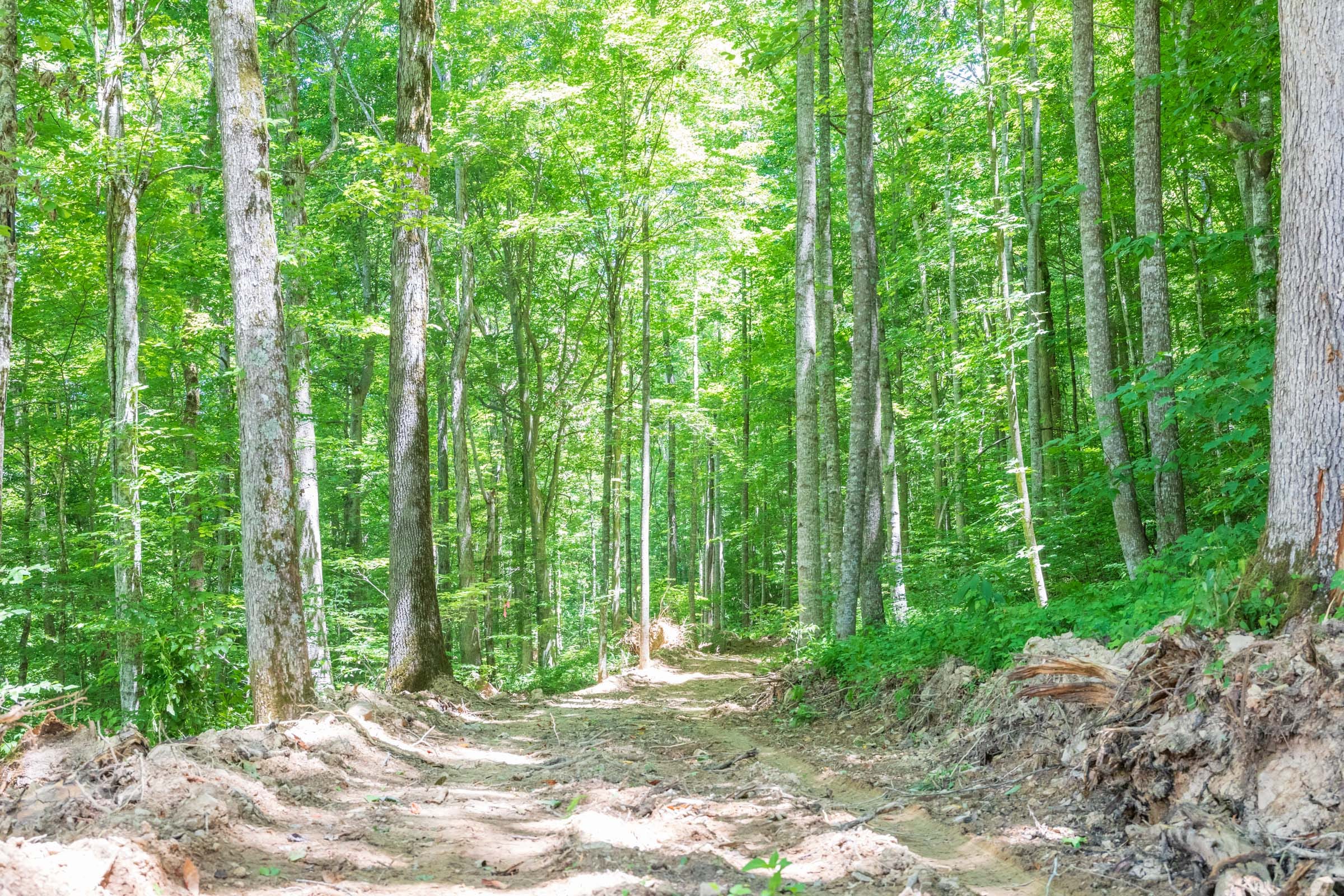 River’s Edge Tract 21 photo 11