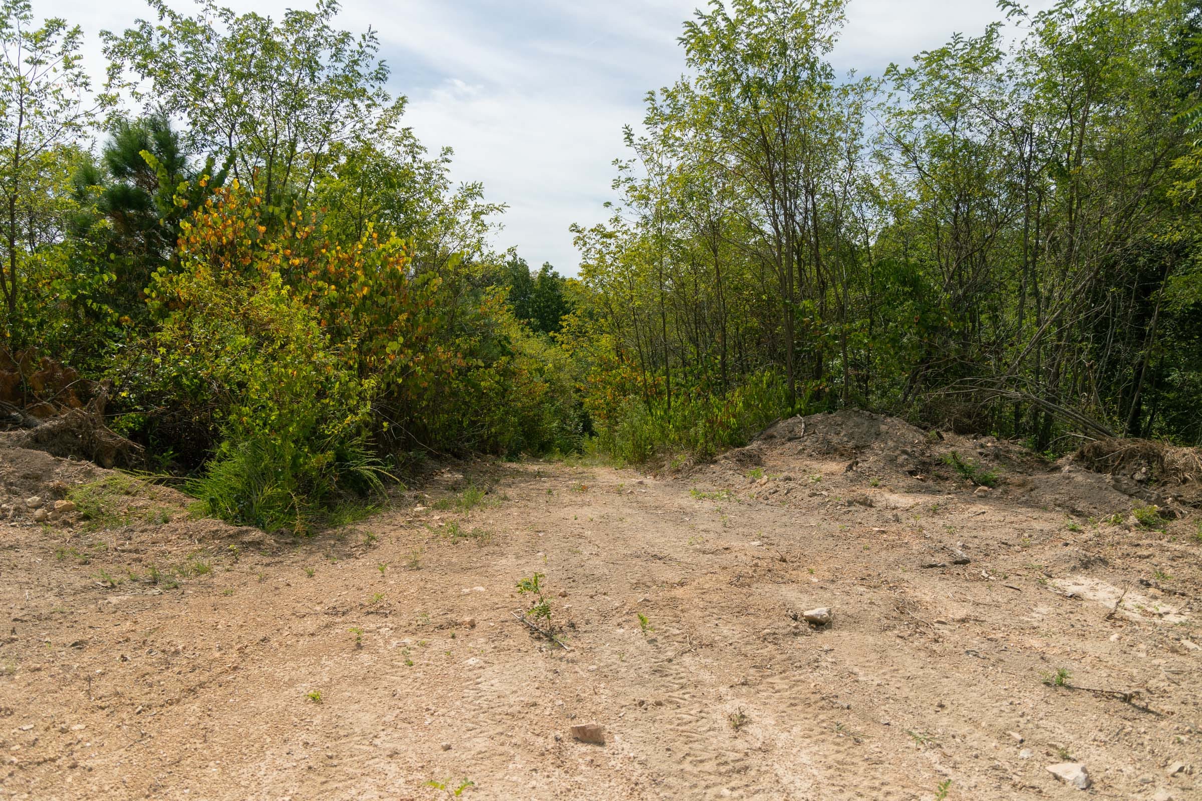 Big White Oak Tract 37 photo 3