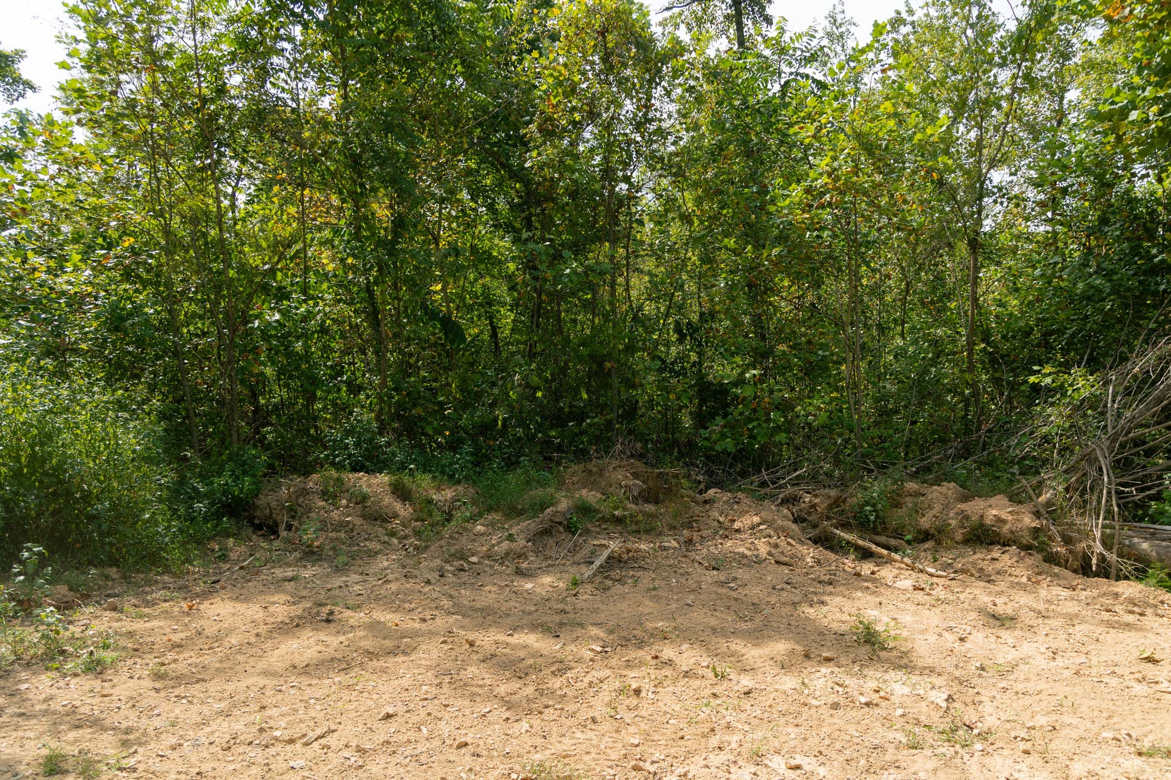 Big White Oak Tract 37 photo 1