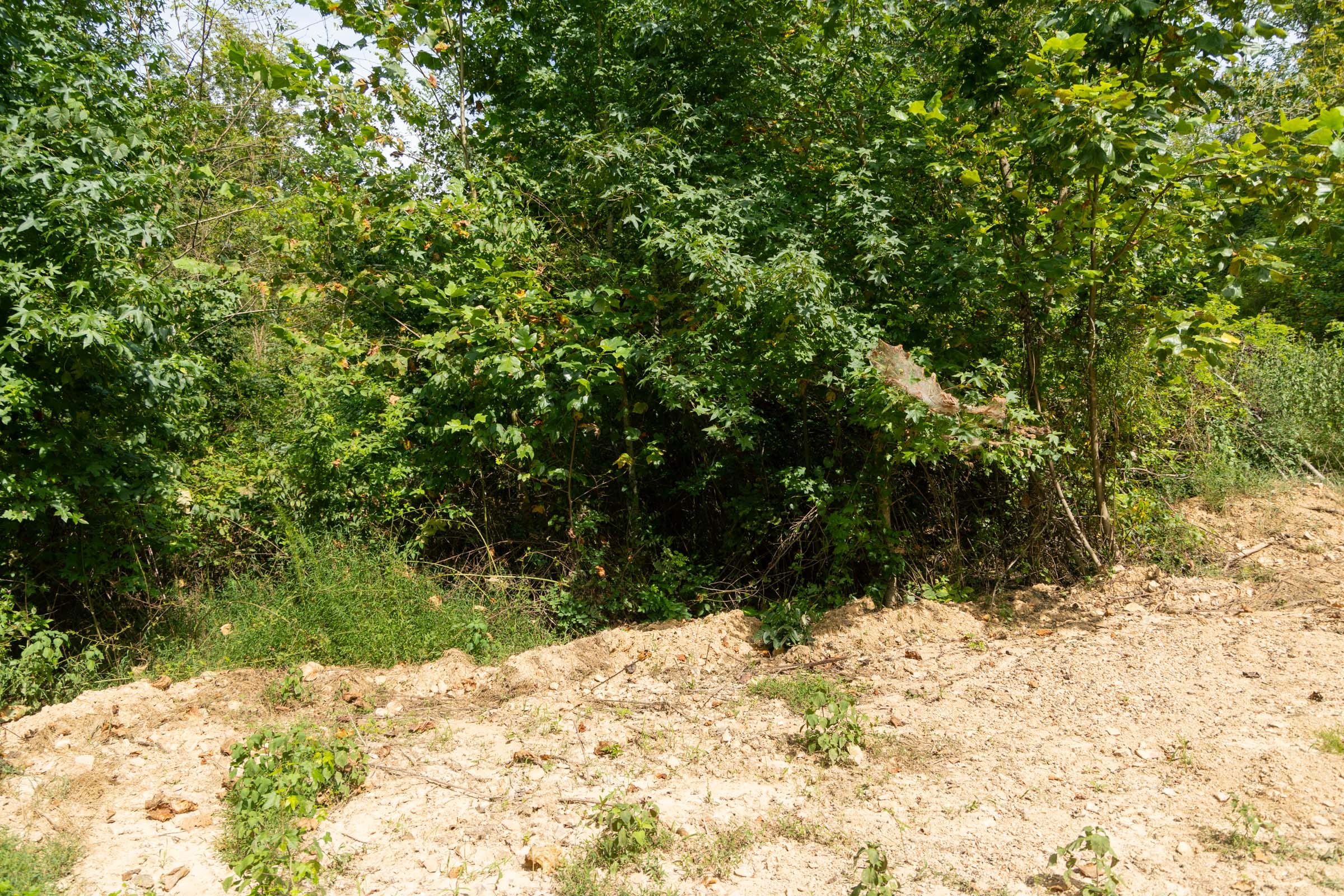 Big White Oak Tract 37 photo 2