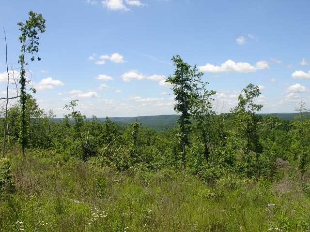 Antler Ridge Tract 20 photo 2