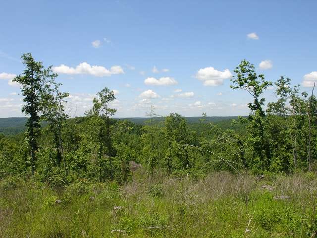Antler Ridge Tract 20 photo 3