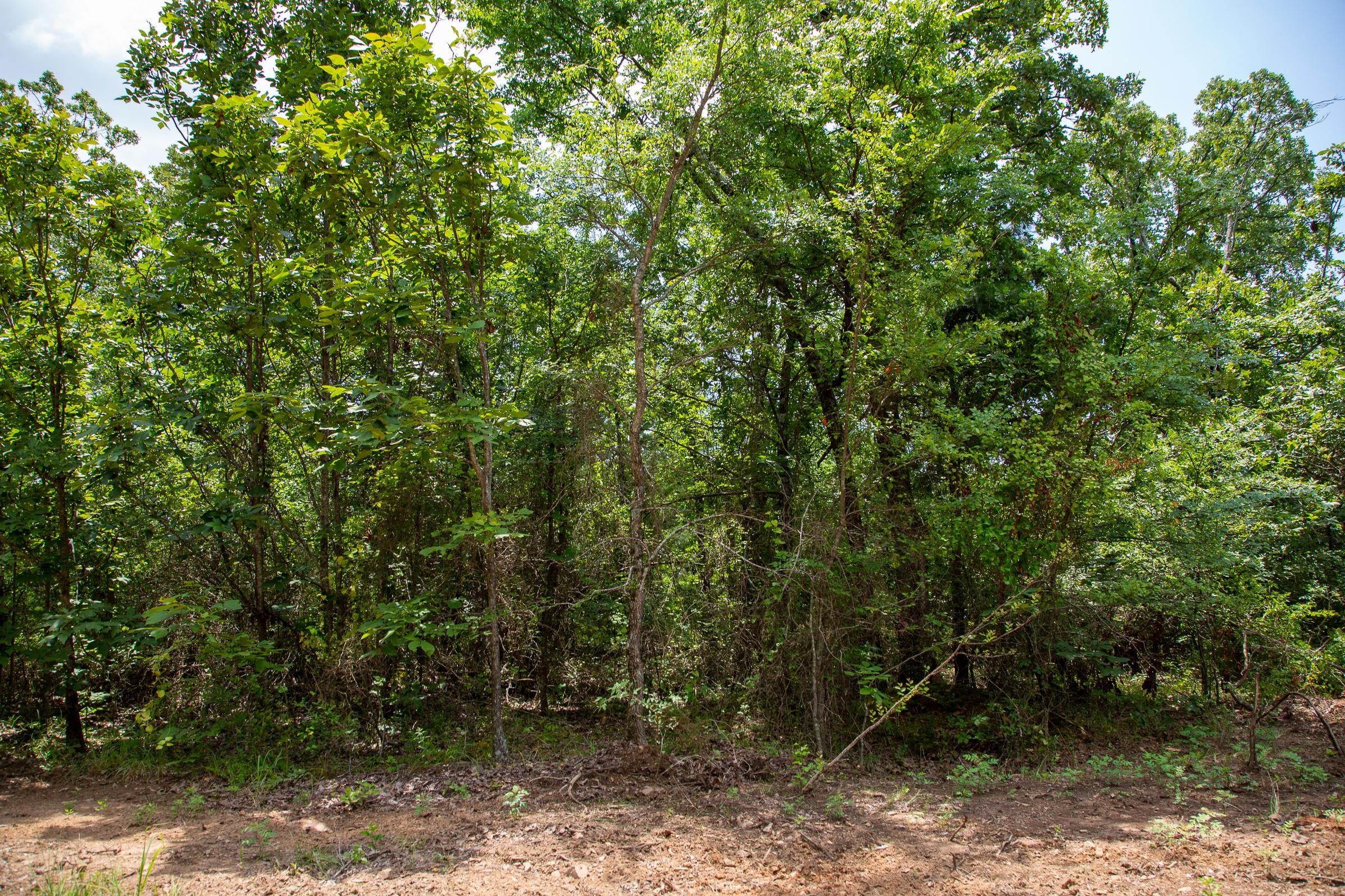 Tyler Stone Ranch Tract 64 photo 3