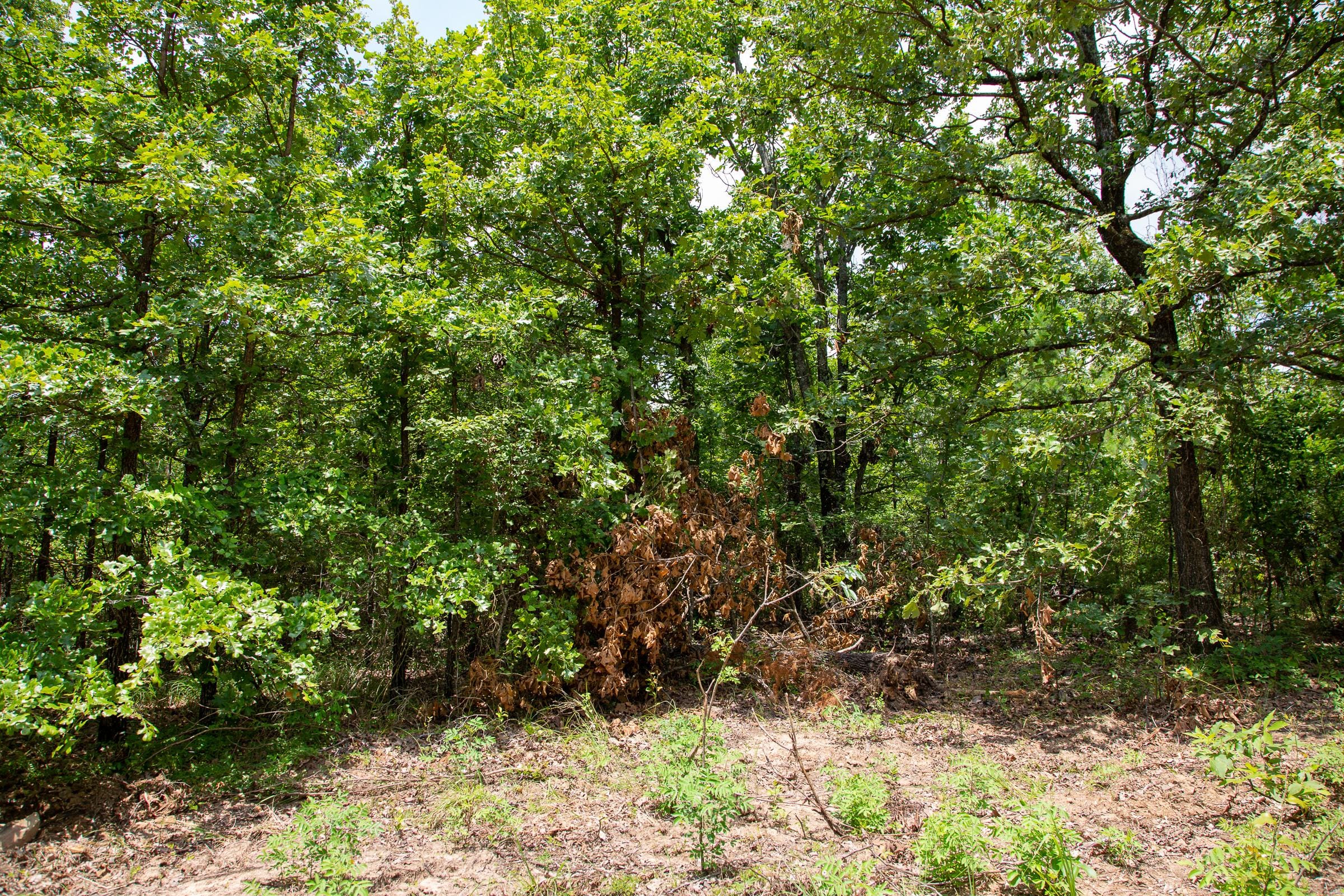Tyler Stone Ranch Tract 64 photo 5