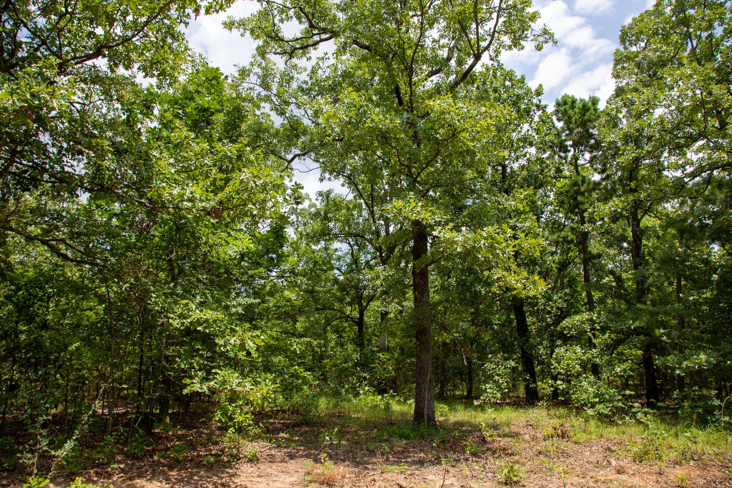 Tyler Stone Ranch Tract 64 photo 4