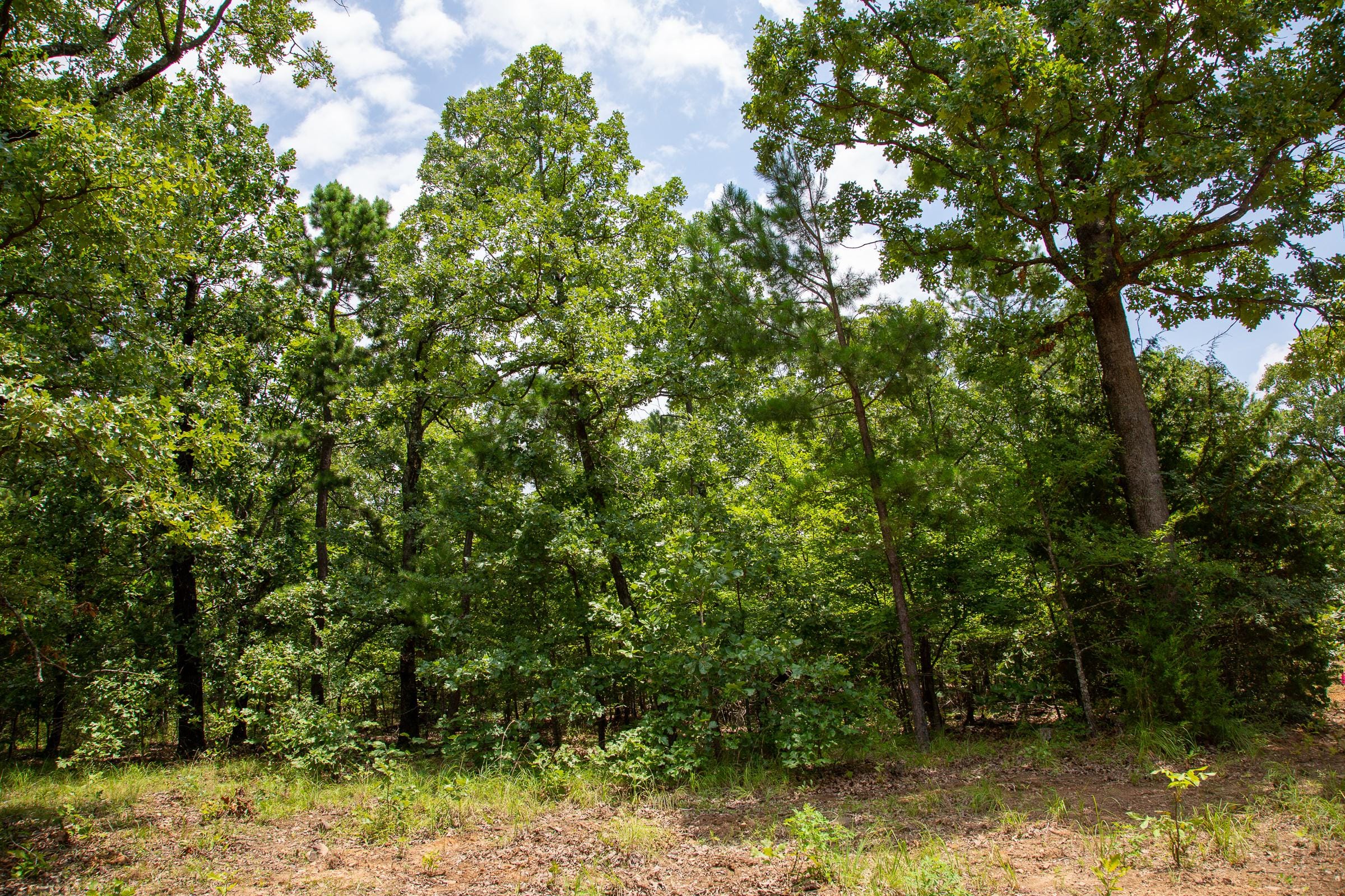 Tyler Stone Ranch Tract 64 photo 6