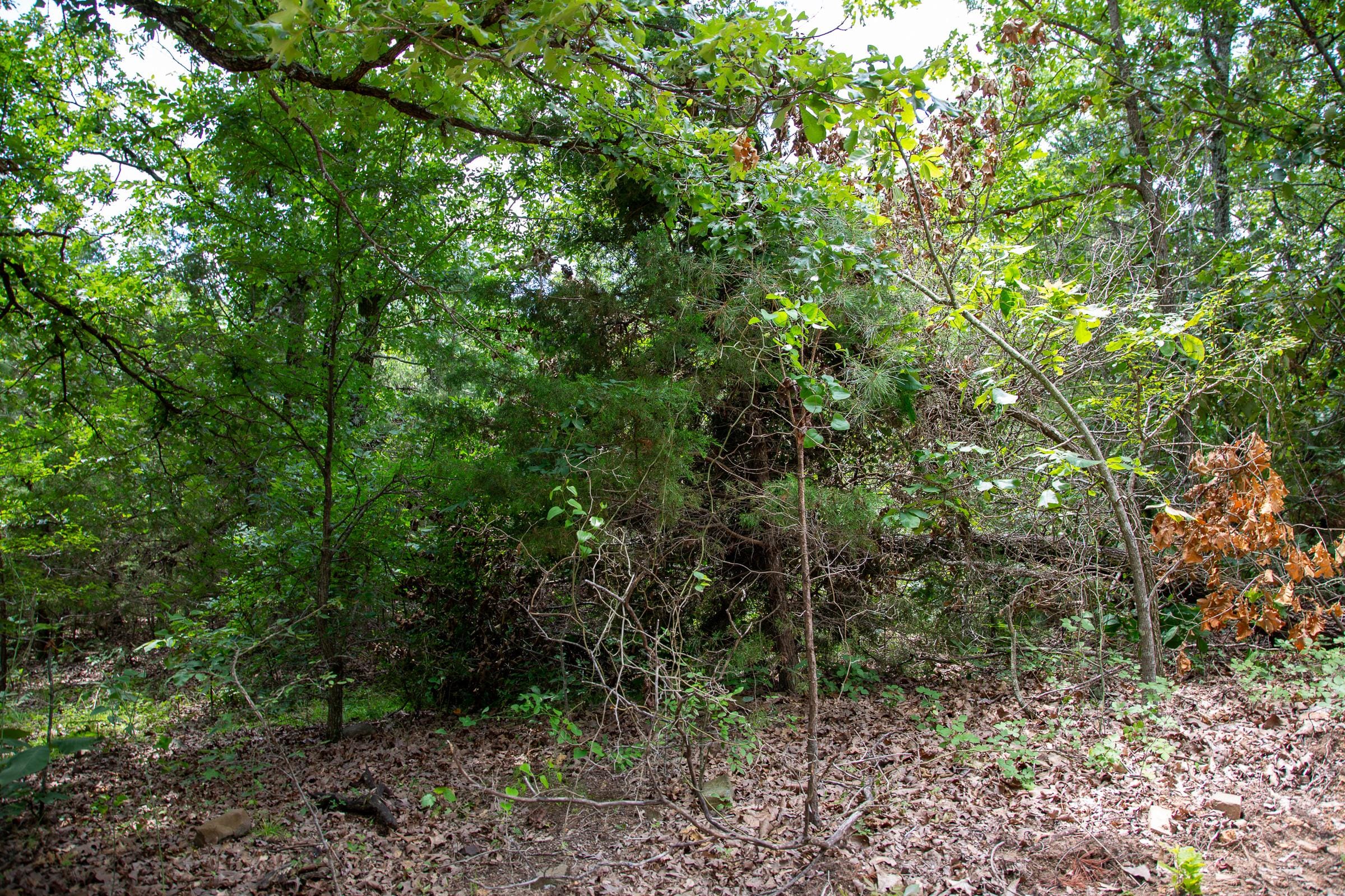 Tyler Stone Ranch Tract 64 photo 7