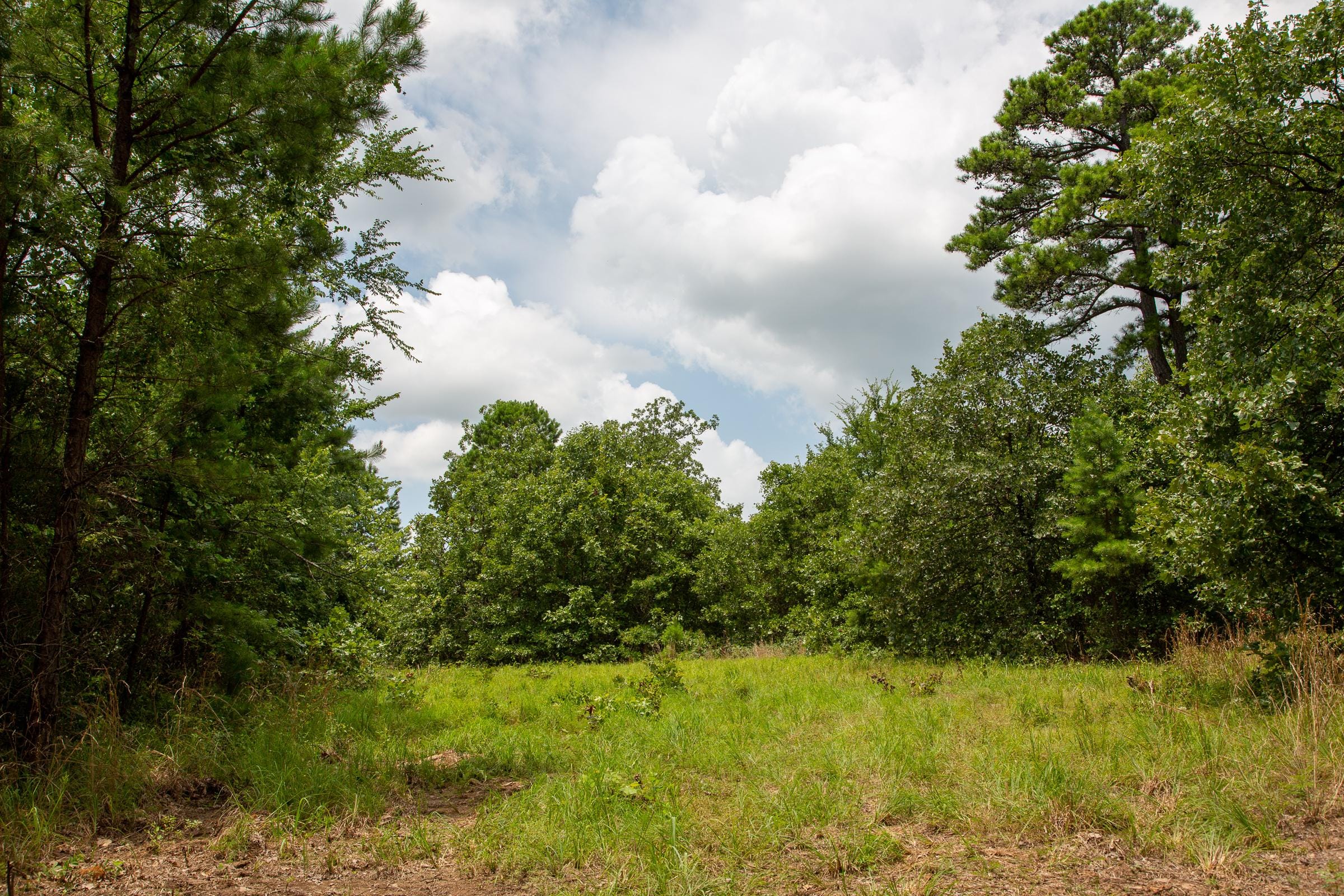 Tyler Stone Ranch Tract 64 photo 1