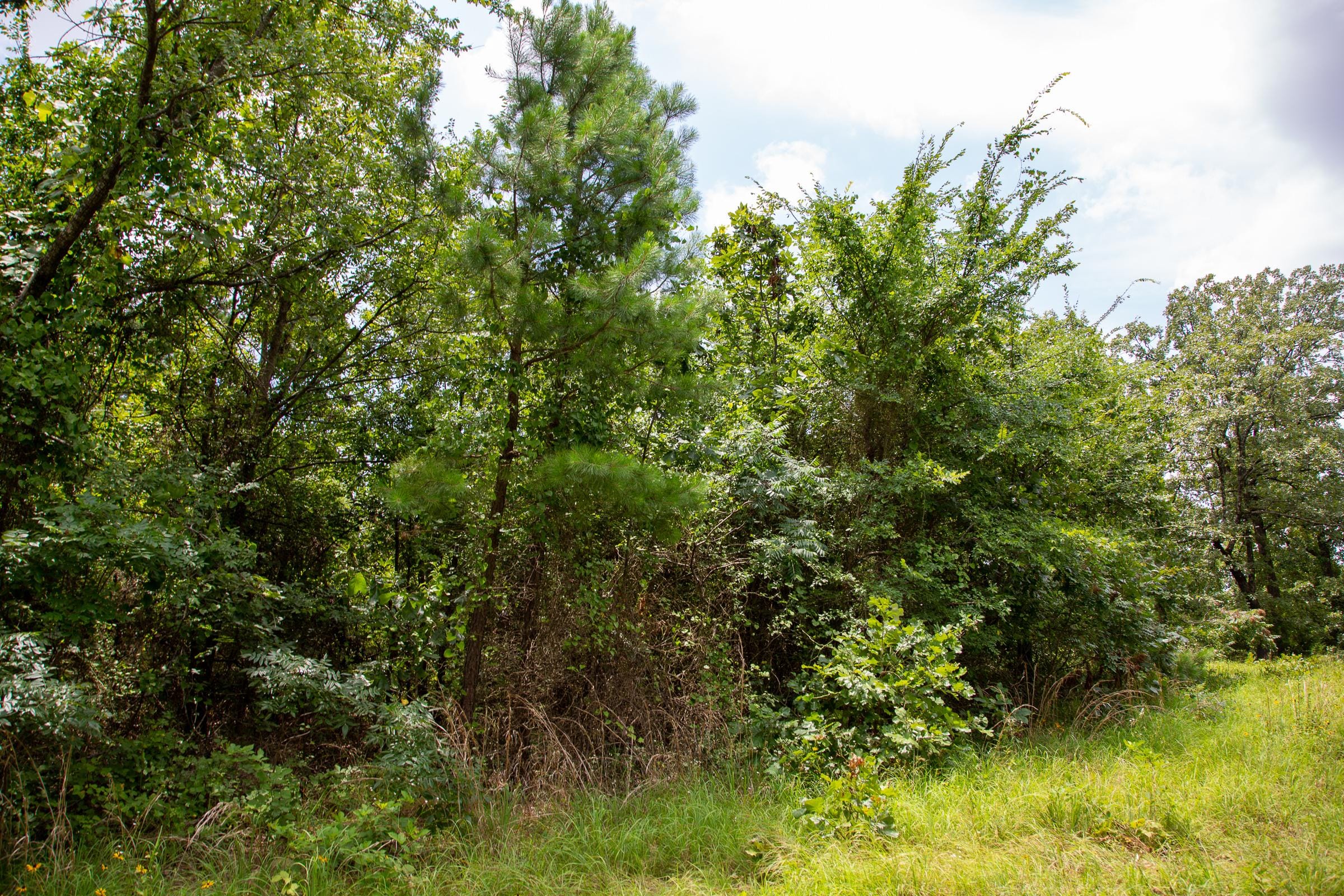 Tyler Stone Ranch Tract 64 photo 11
