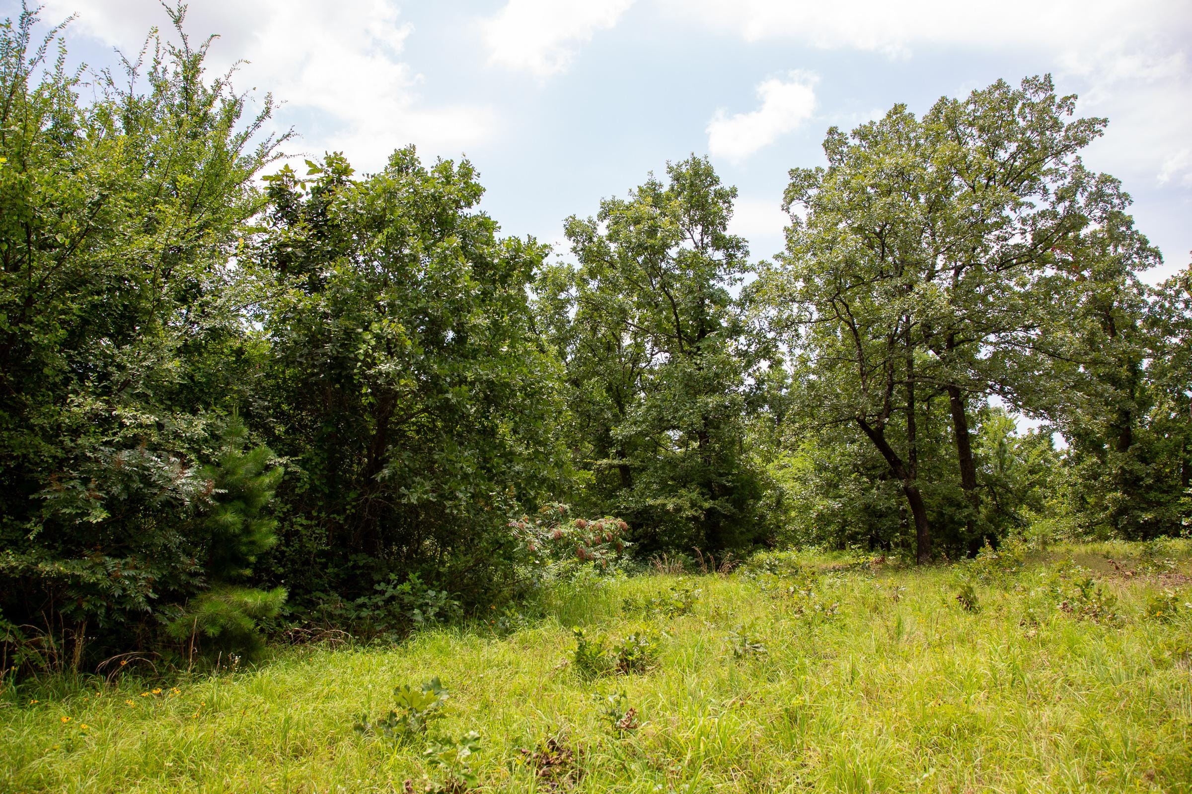 Tyler Stone Ranch Tract 64 photo 10