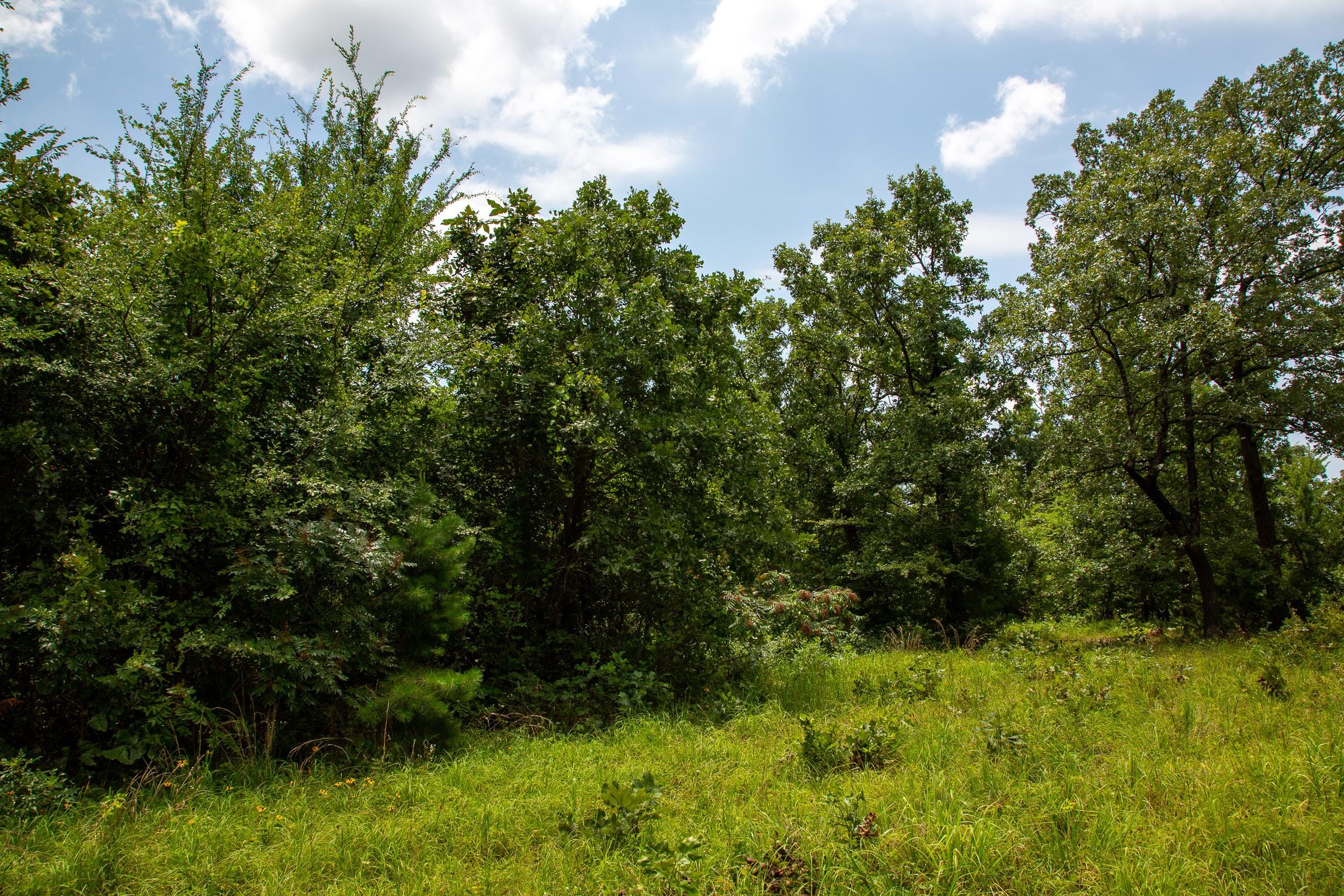 Tyler Stone Ranch Tract 64 photo 9