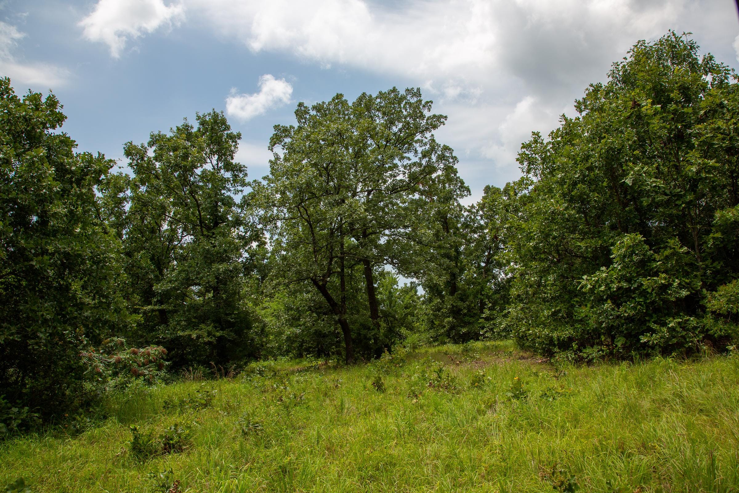 Tyler Stone Ranch Tract 64 photo 12