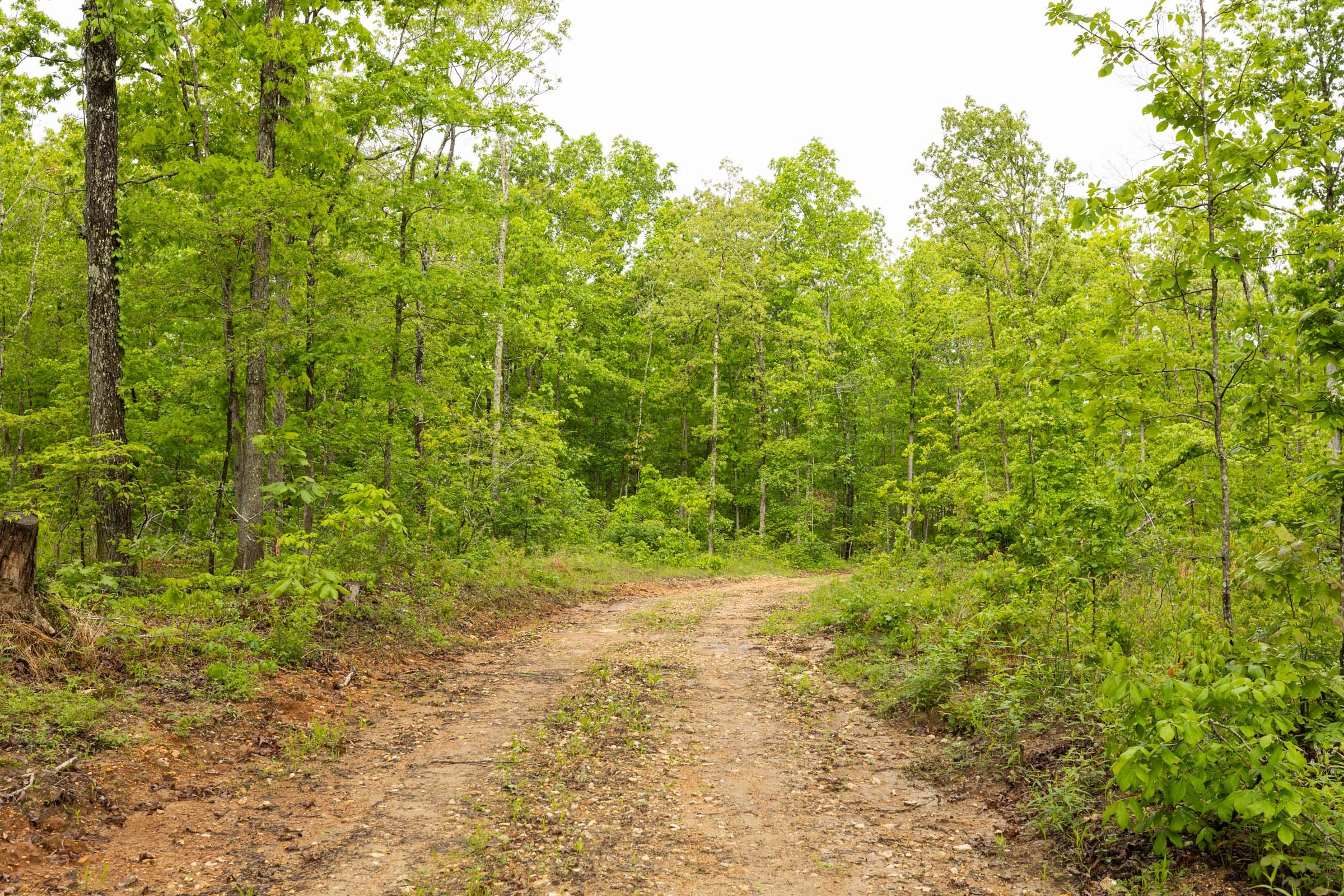 Stardust Estates Tract 37 photo 11