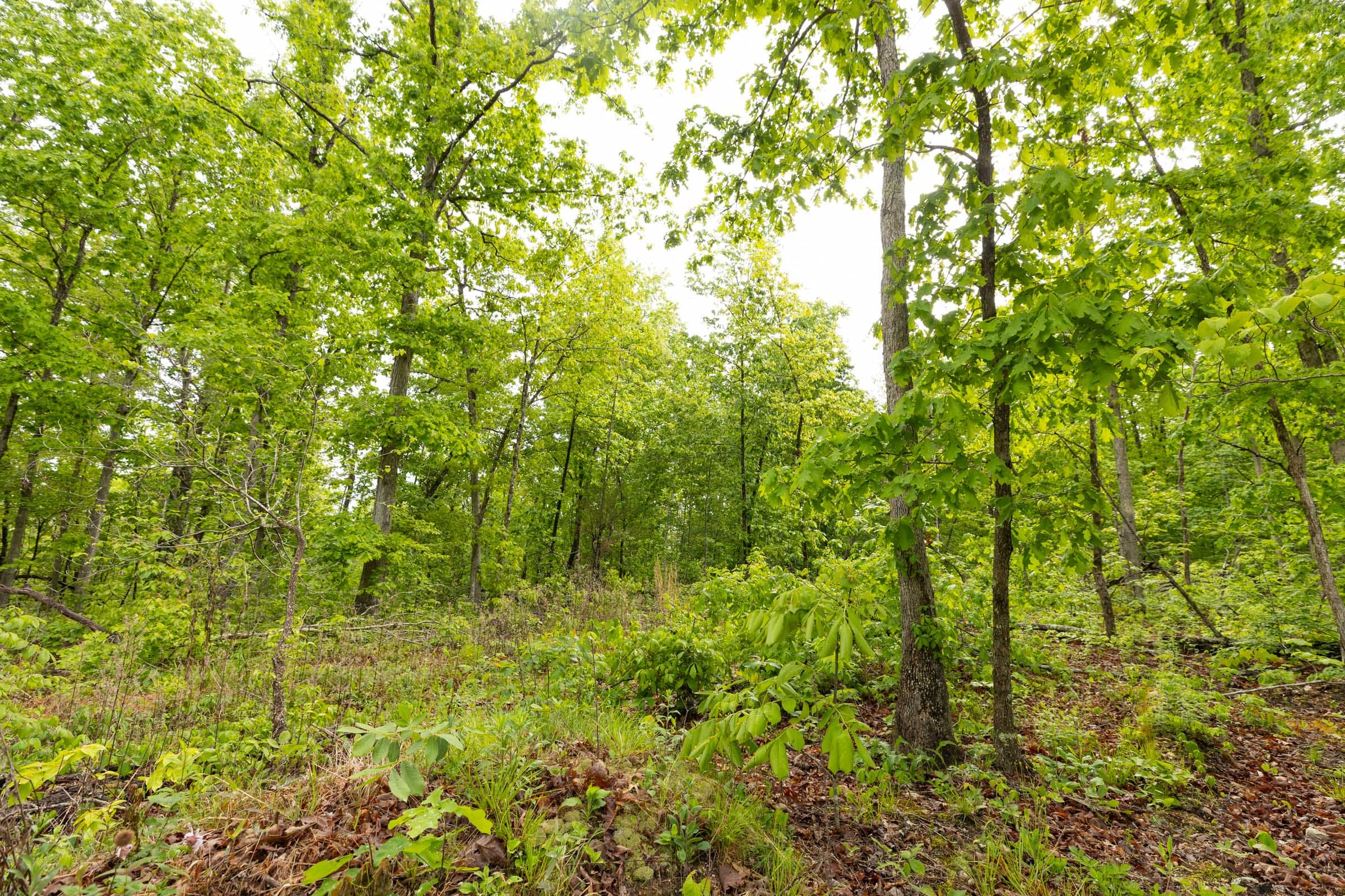 Stardust Estates Tract 37 photo 10