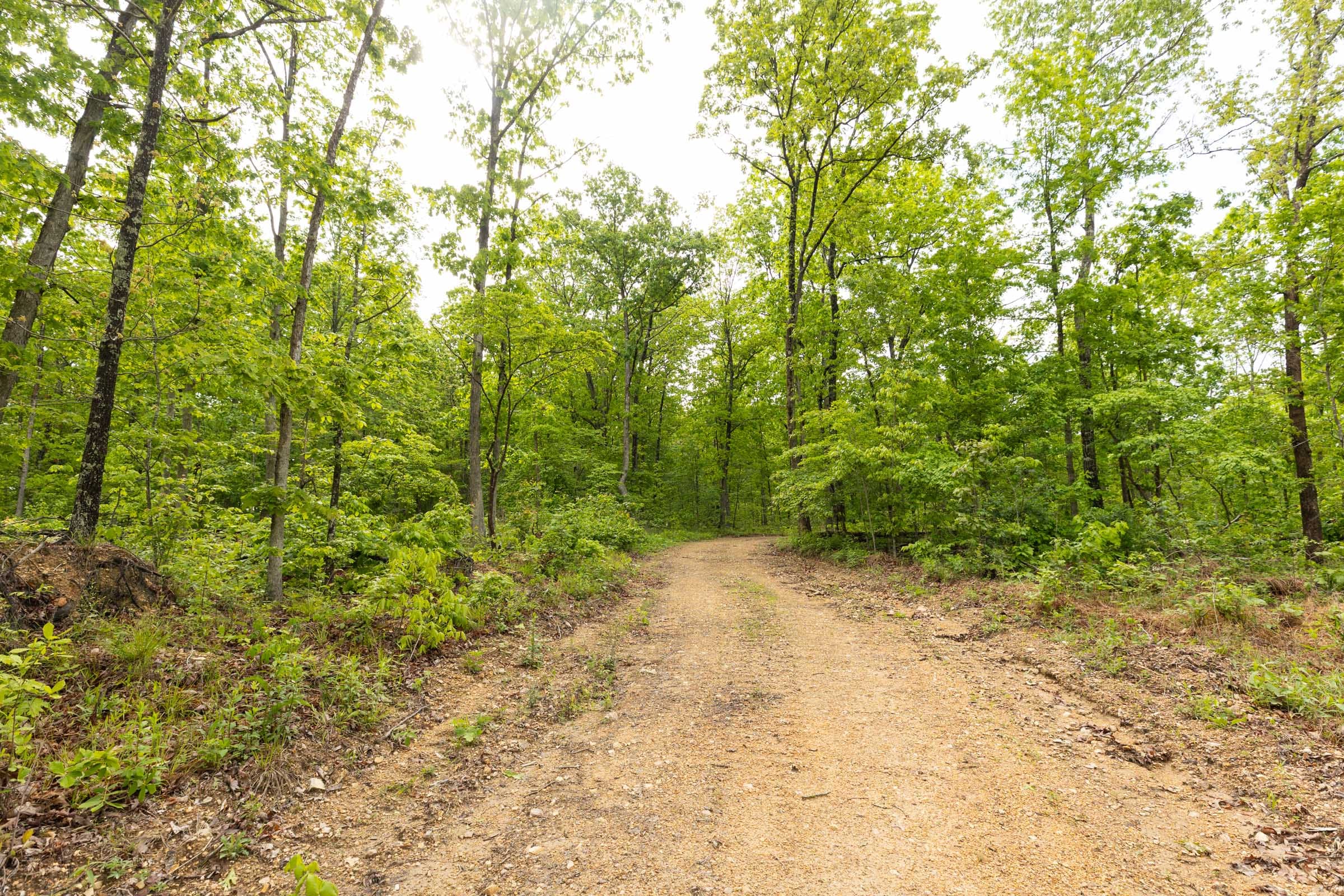 Stardust Estates Tract 37 photo 7