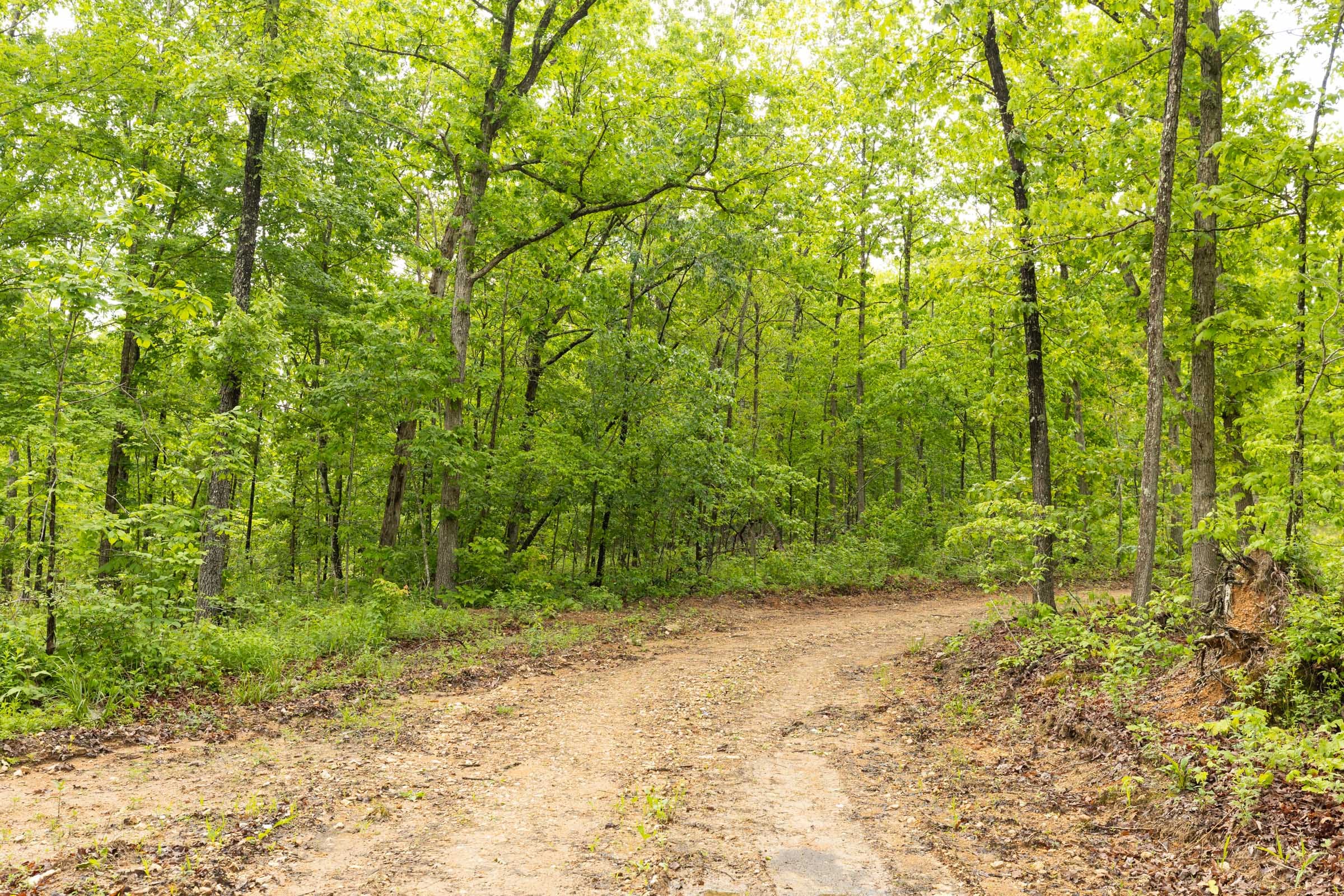 Stardust Estates Tract 37 photo 3