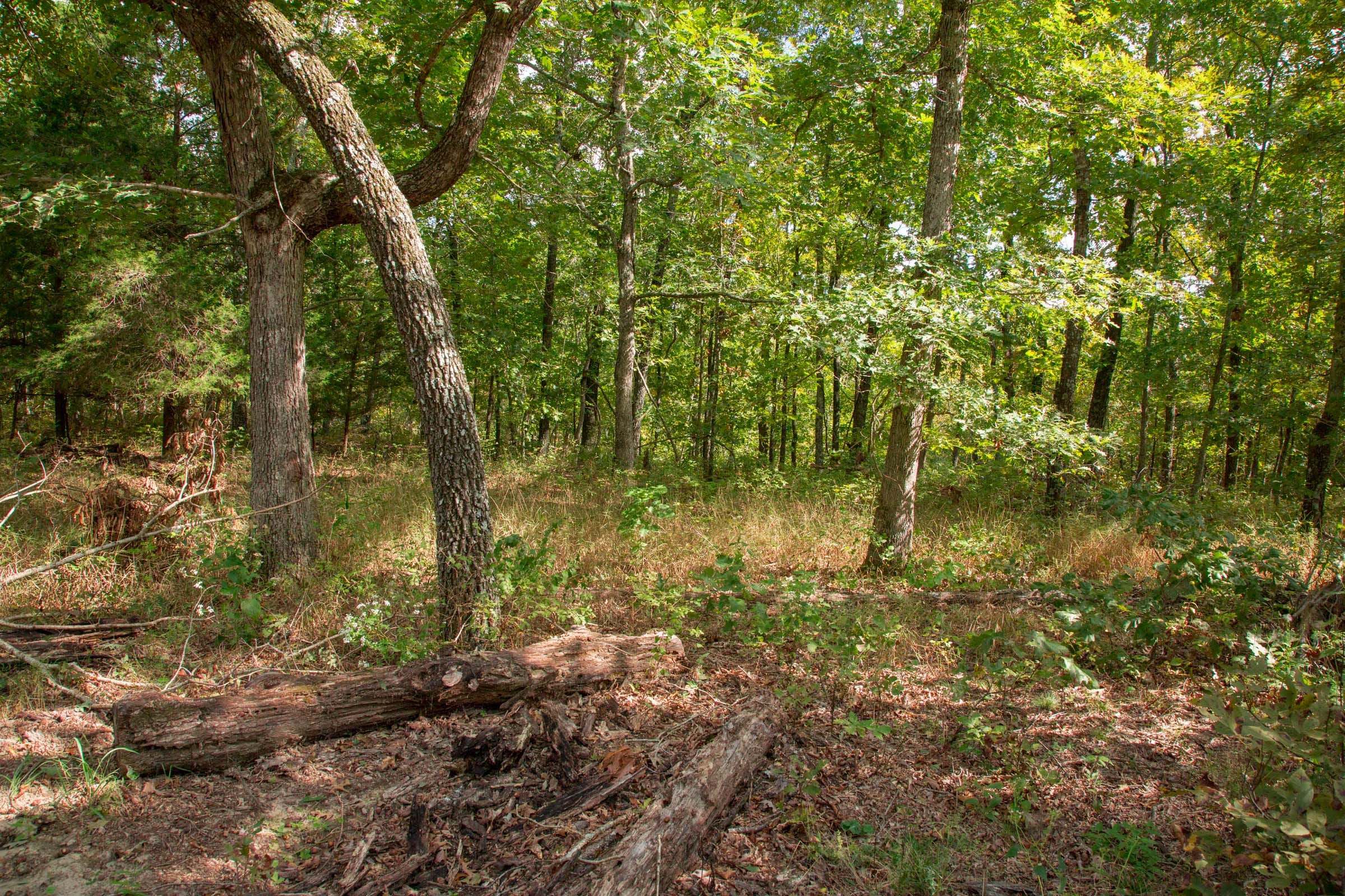 Wagon Wheel Ranch Tract 21 photo 3